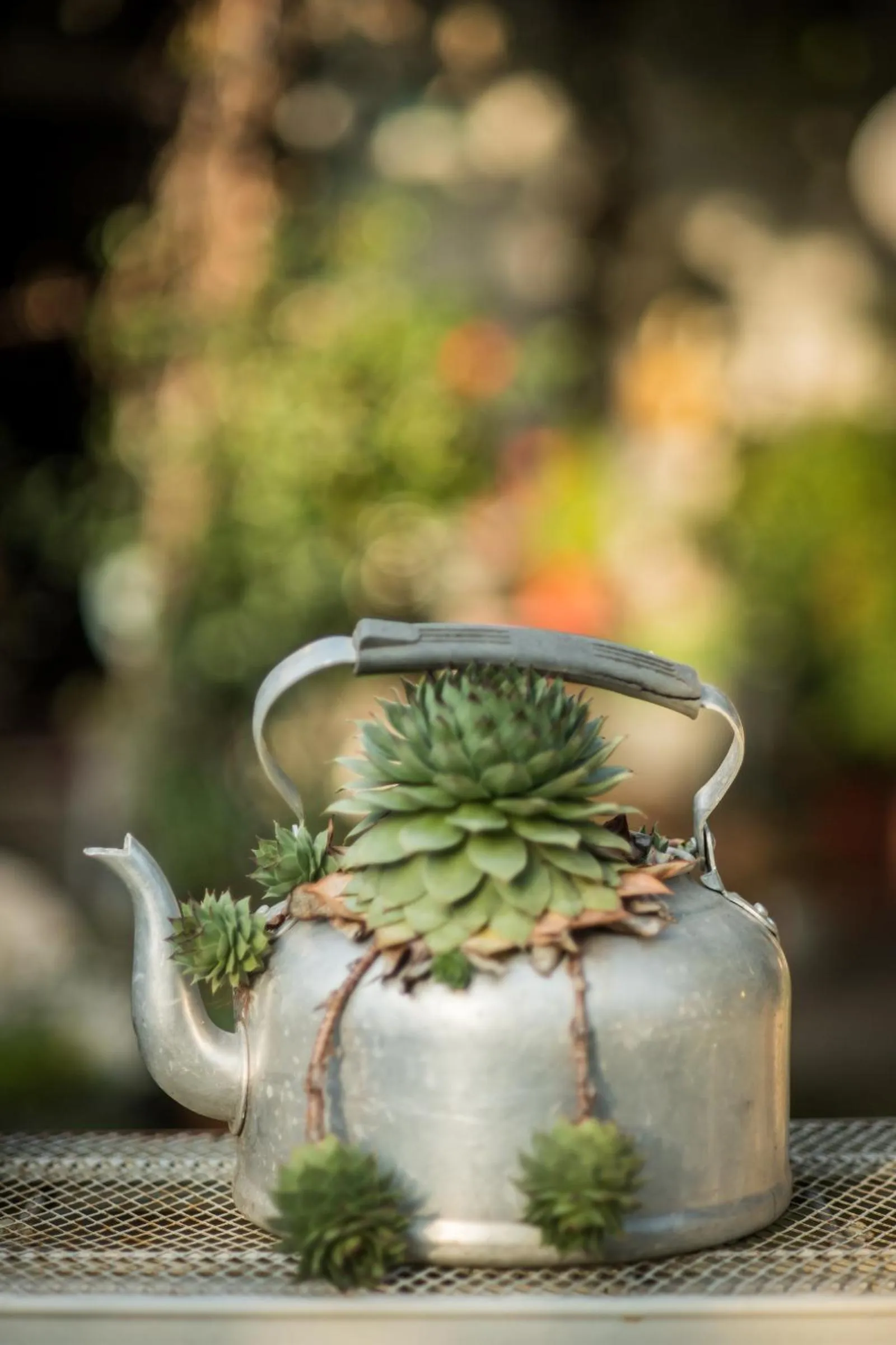 Garden in Agriturismo Beatilla