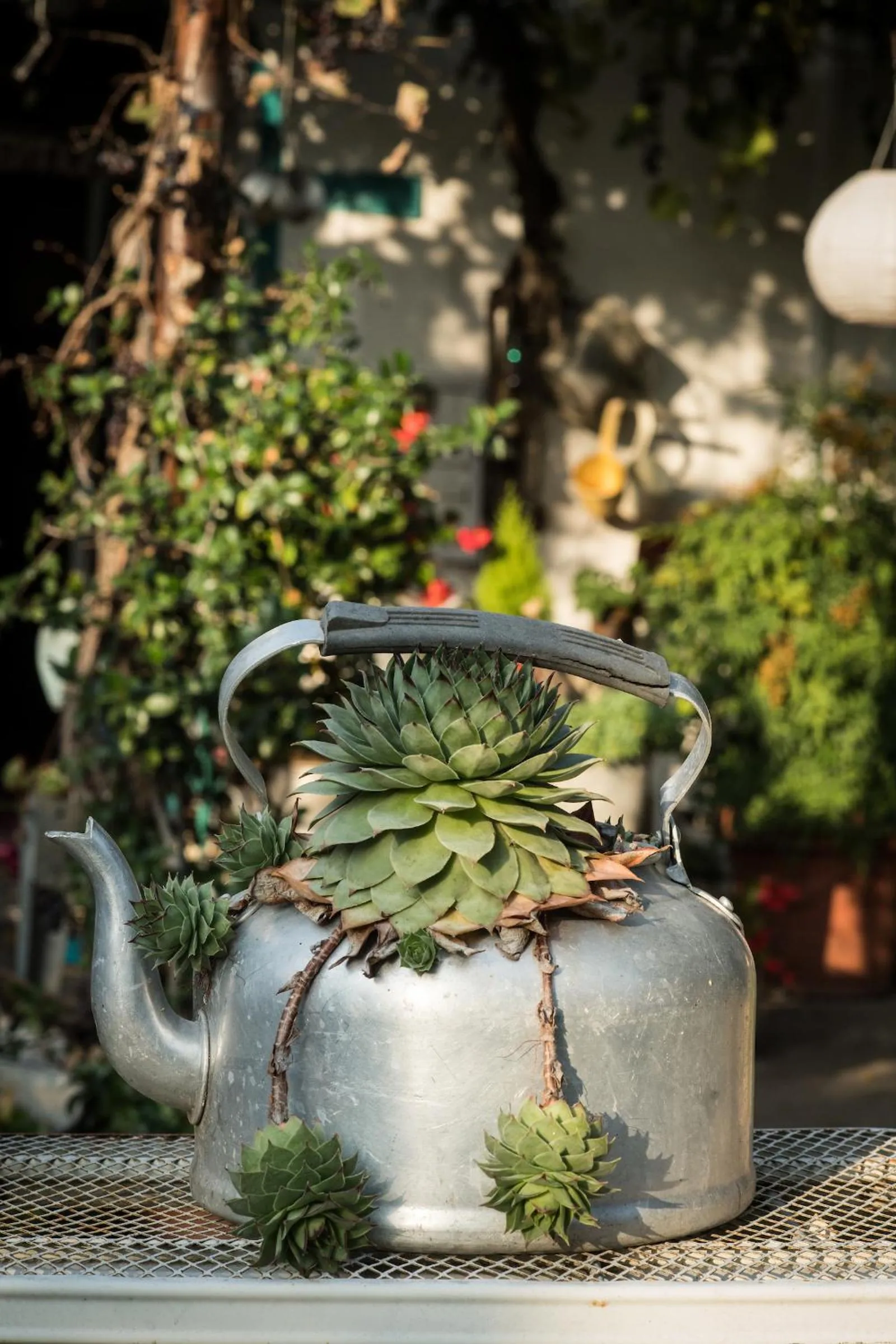 Day in Agriturismo Beatilla