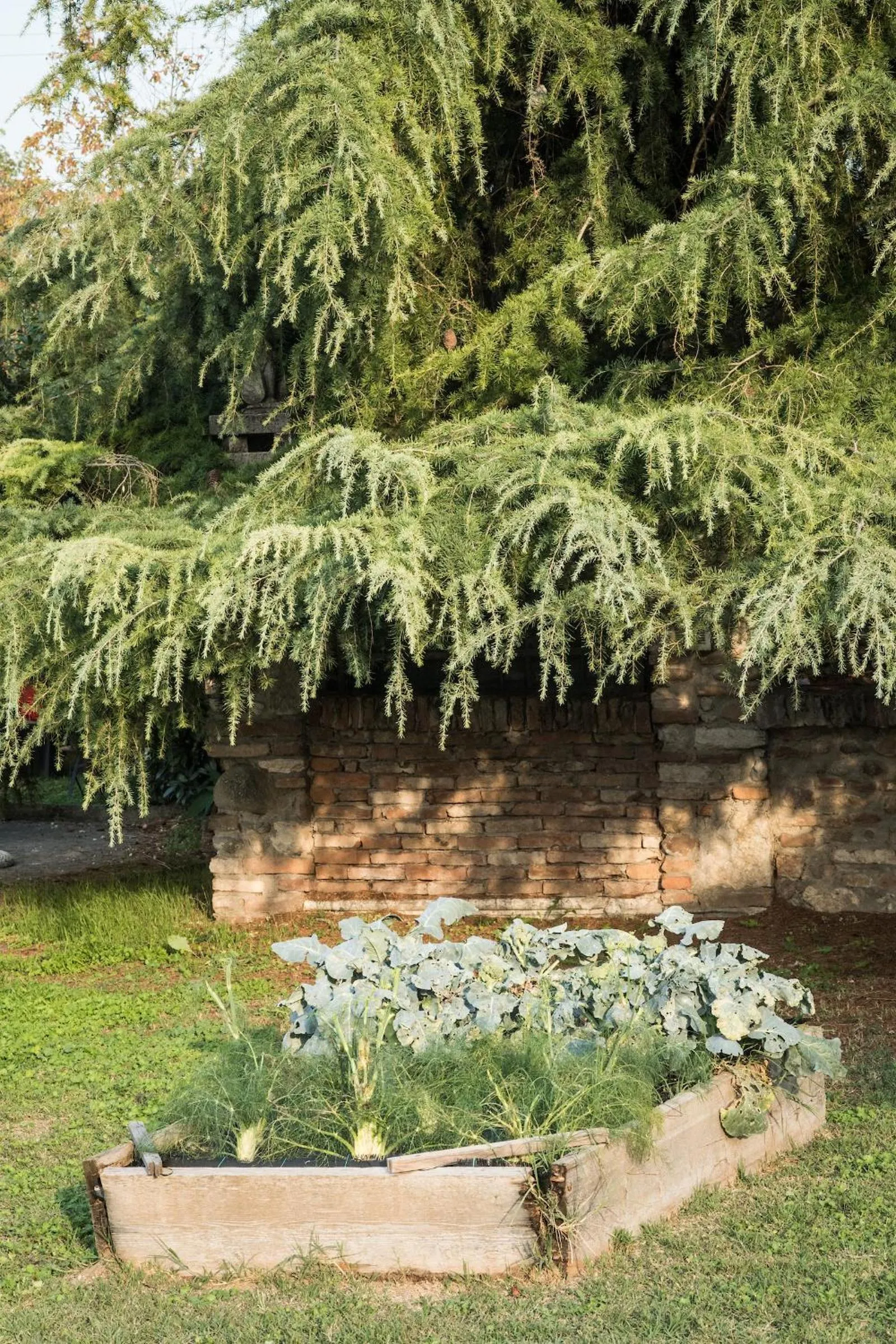 Day in Agriturismo Beatilla