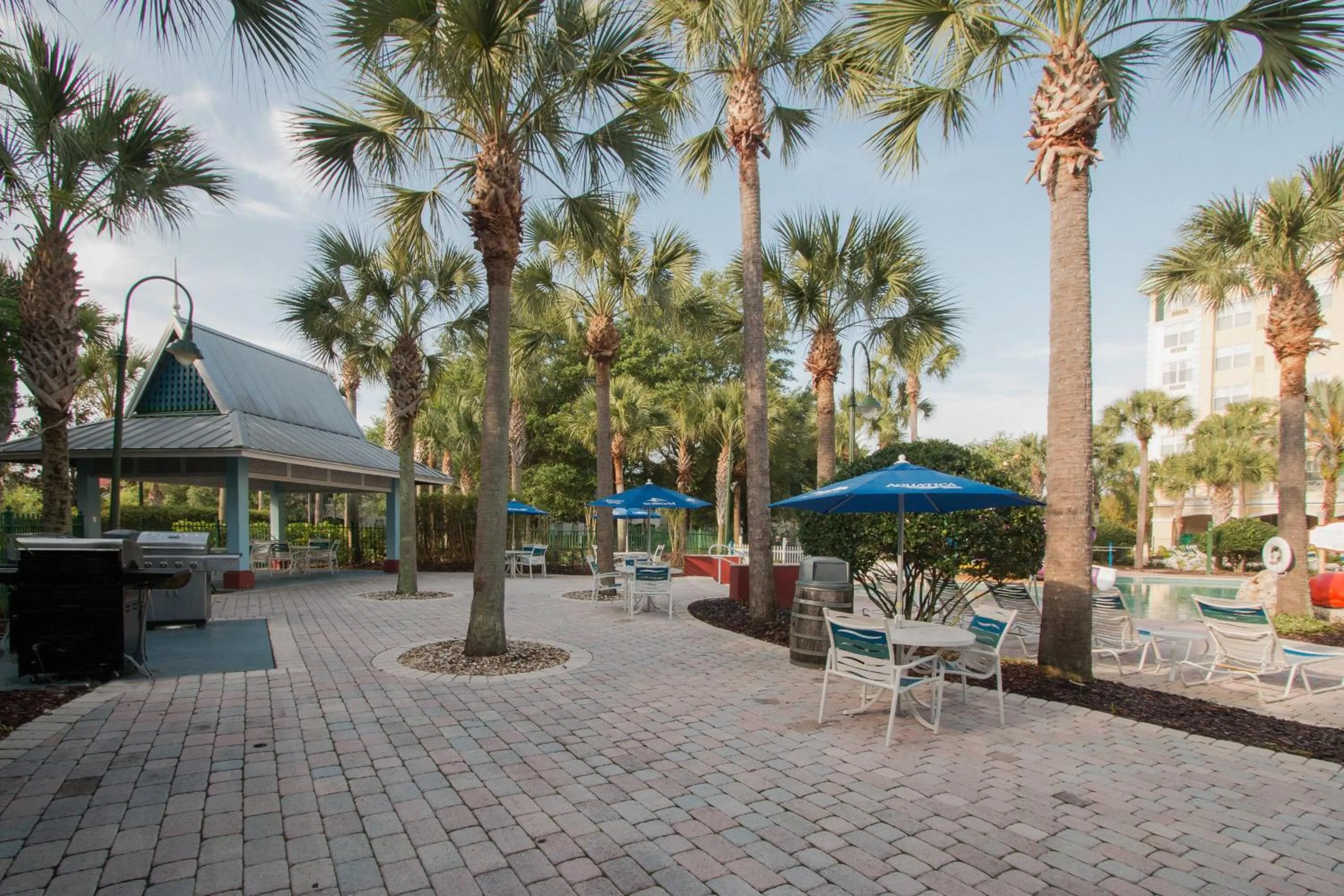 Restaurant/places to eat in SpringHill Suites by Marriott Orlando Lake Buena Vista South