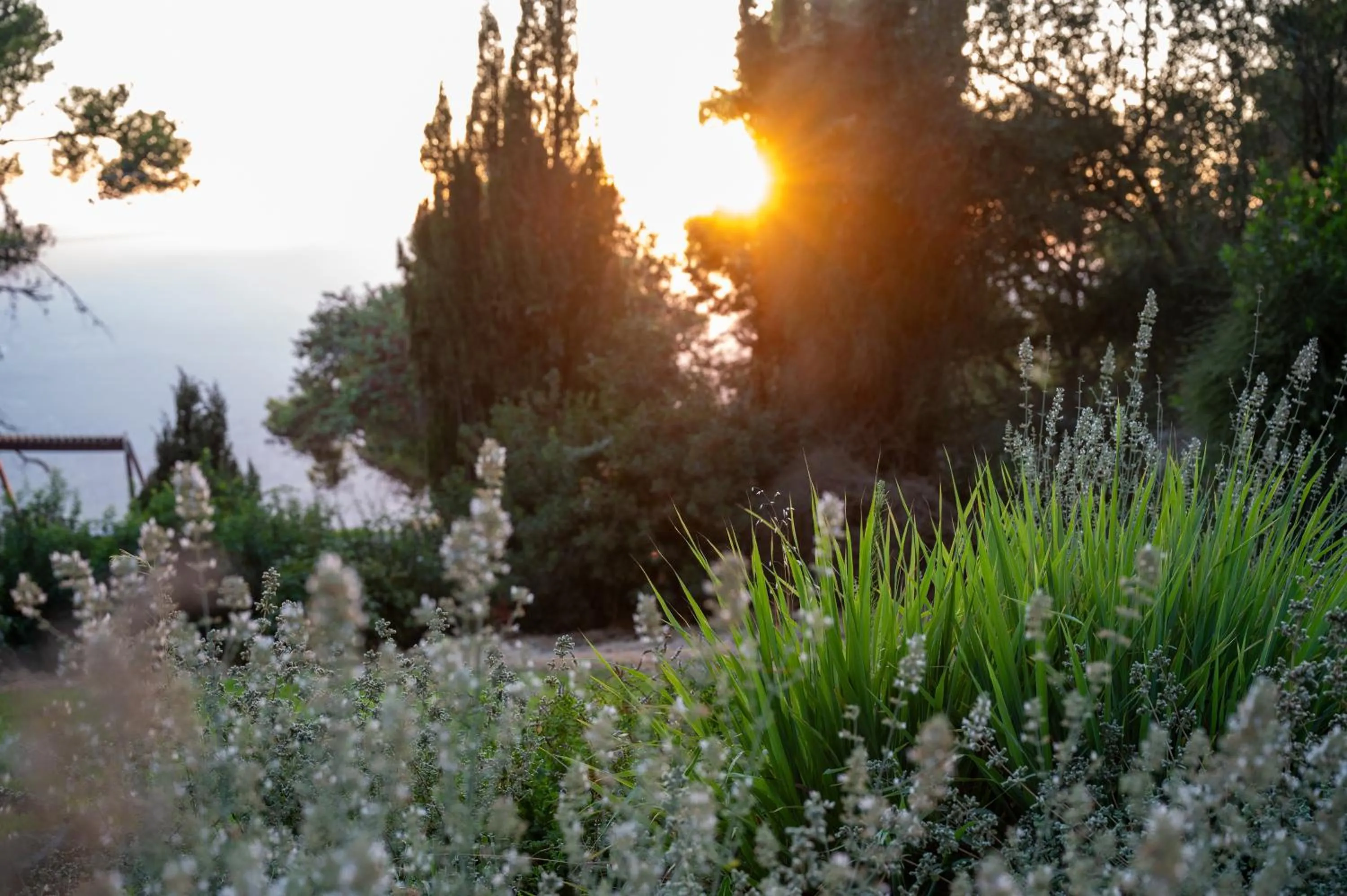 Garden in Hotel Canaan - Fattal Limited Edition