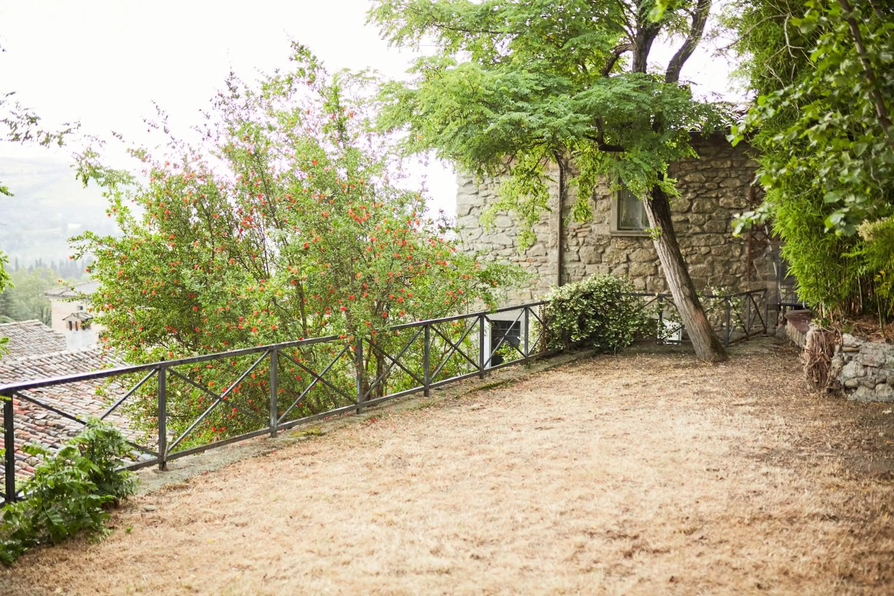 Natural landscape in Albergo La Rocca