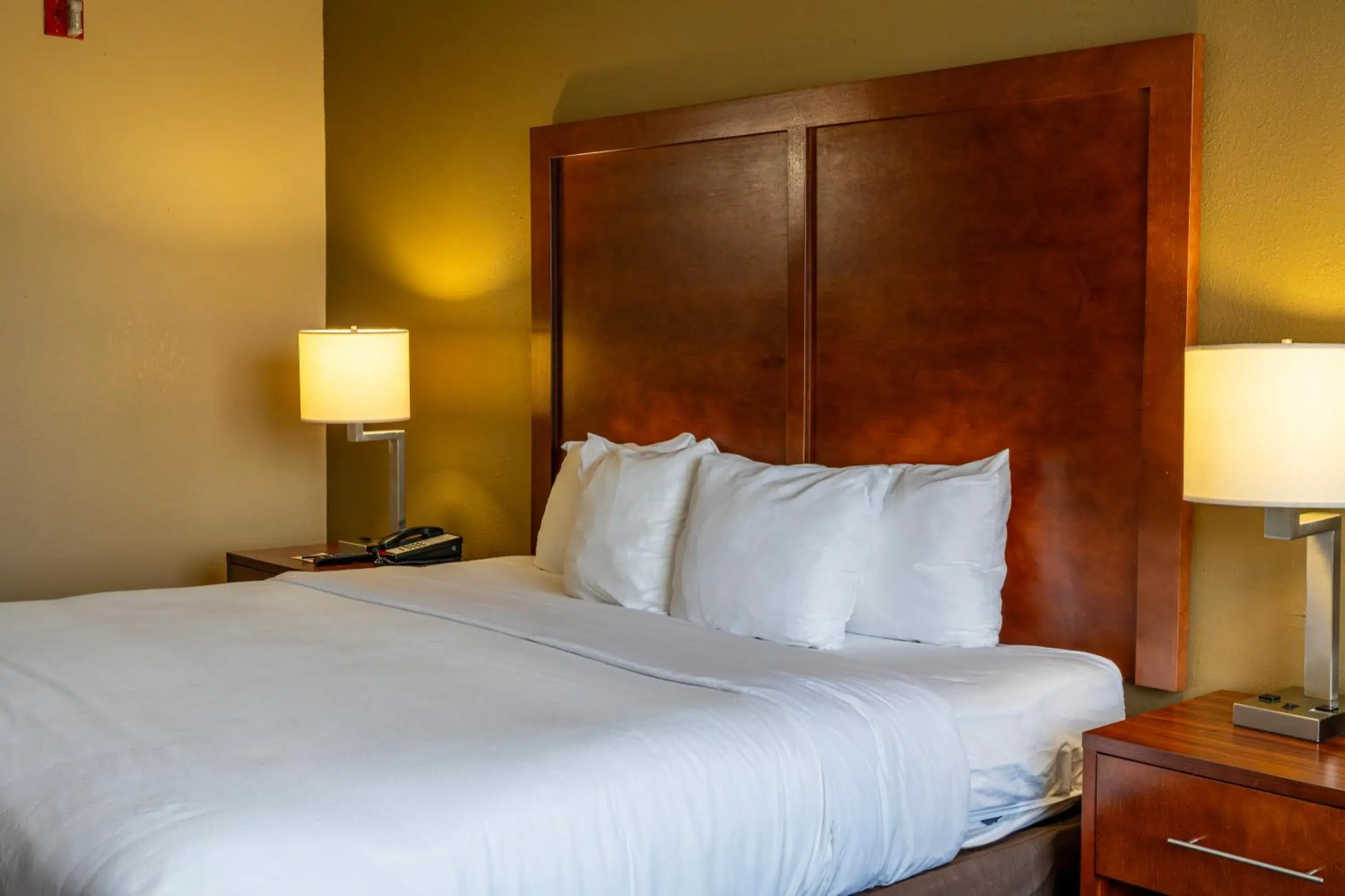 King Room - Accessible/Non-Smoking in Comfort Inn & Suites Lakeland North I-4 King Room - Accessible/Non-Smoking in Comfort Inn & Suites Lakeland North I-4