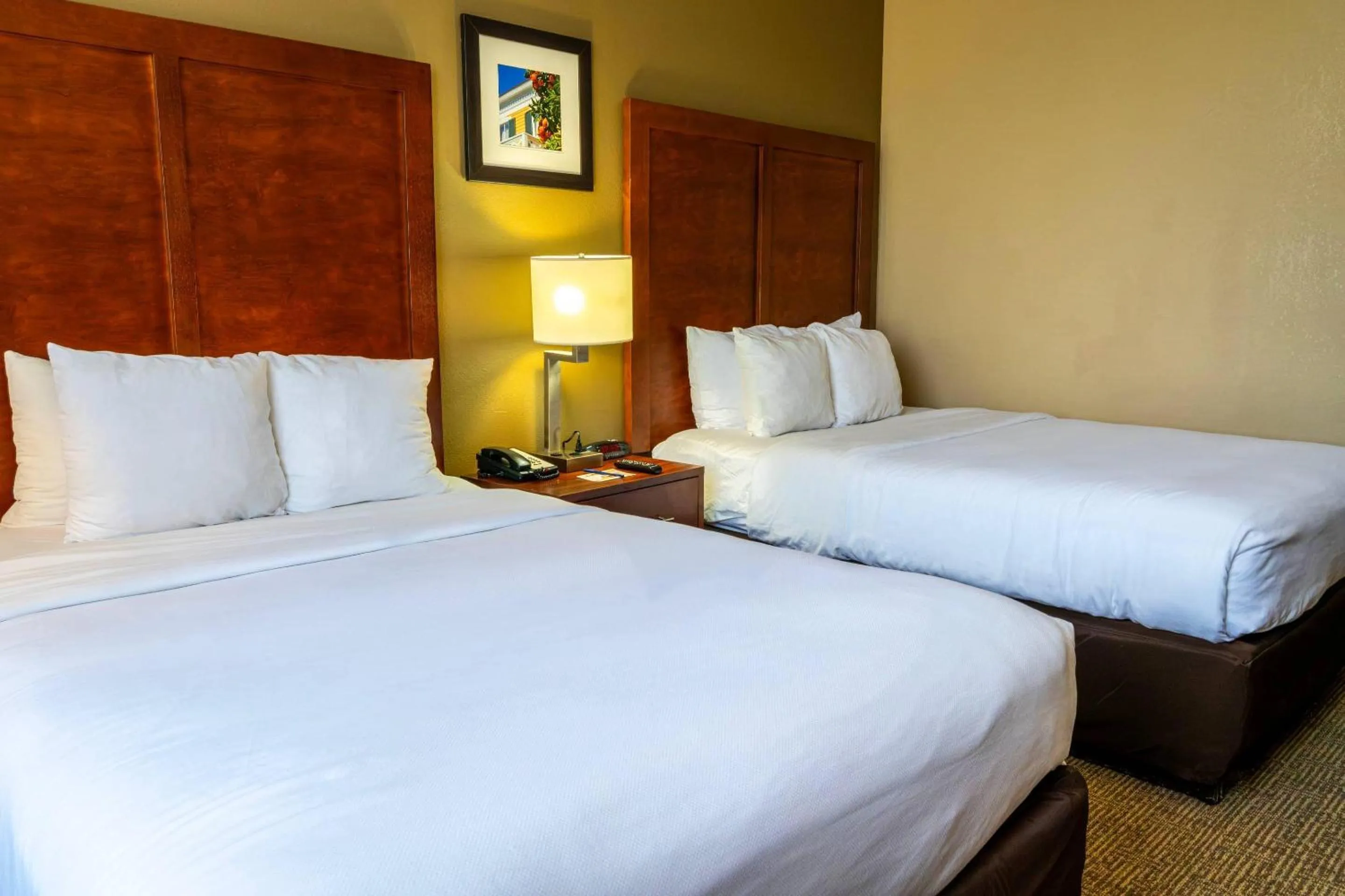 Bedroom, Bed in Comfort Inn & Suites Lakeland North I-4