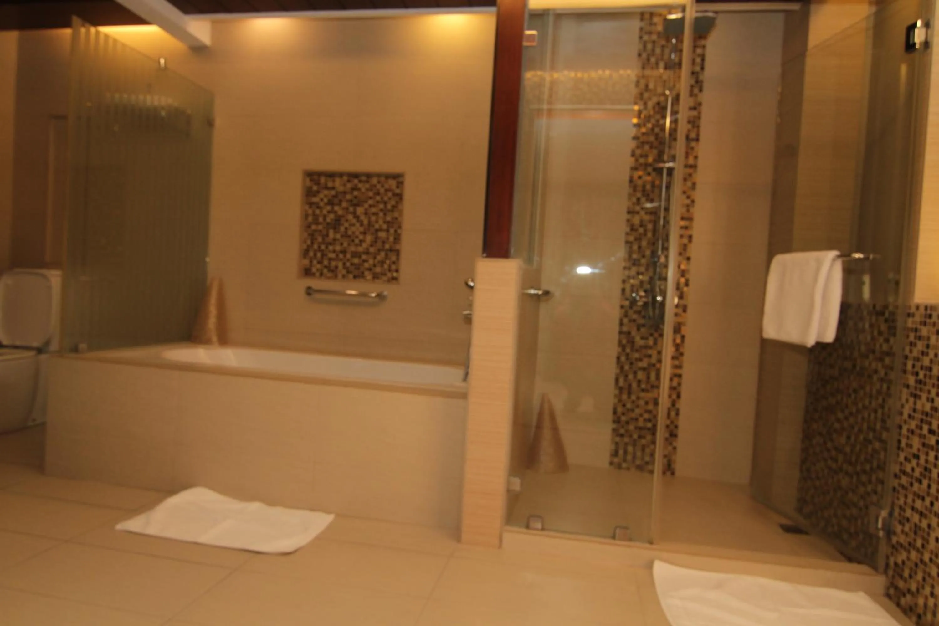 Bathroom in Skinetics Wellness Center Boutique Hotel