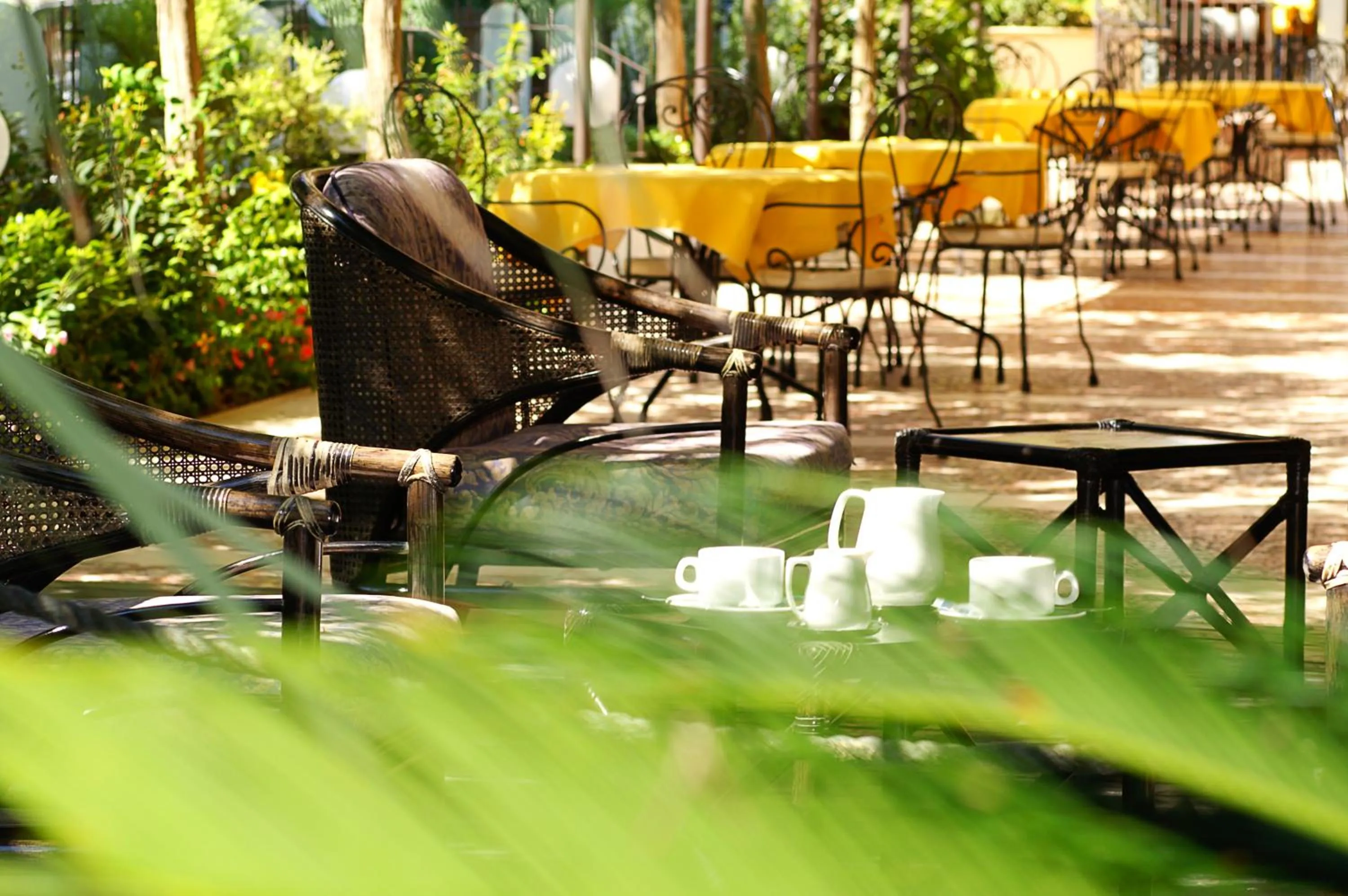 Garden in Hotel Bamby