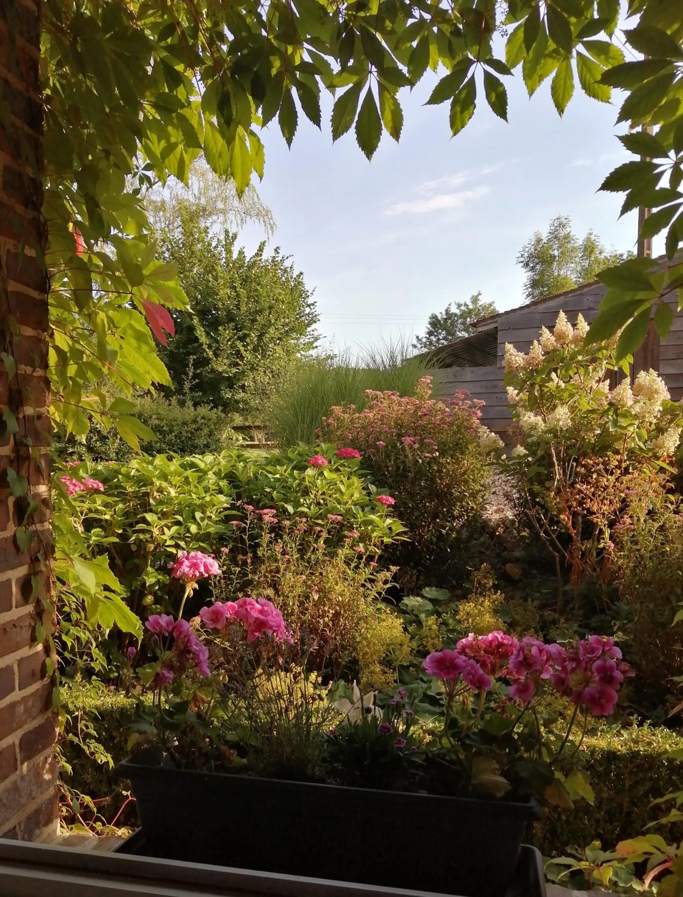 Garden in Moulin de Sévoux