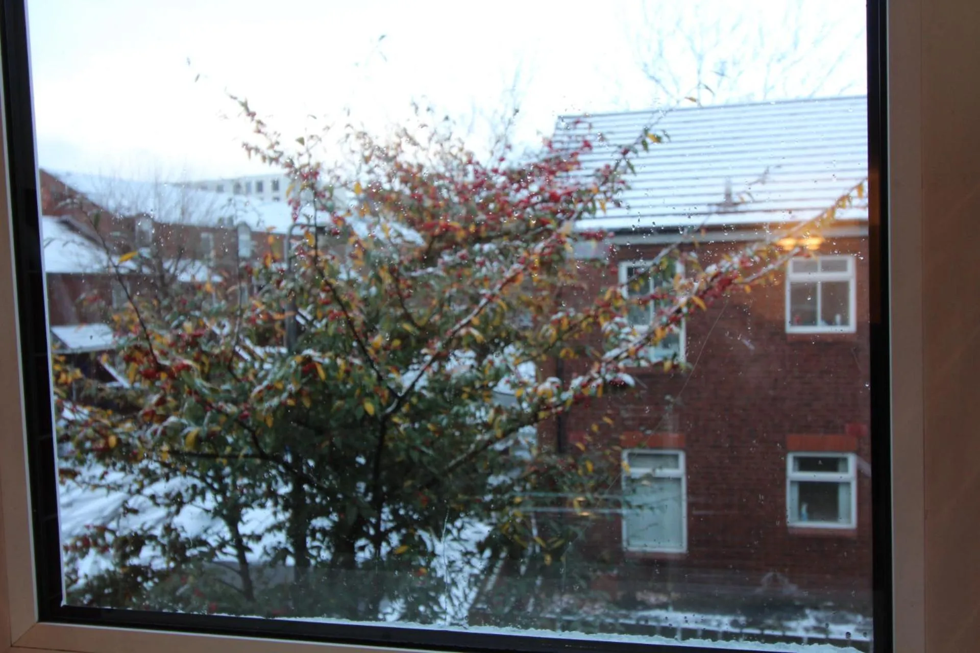 Property building in The Little Maryville - City Centre - Parking - 2BR