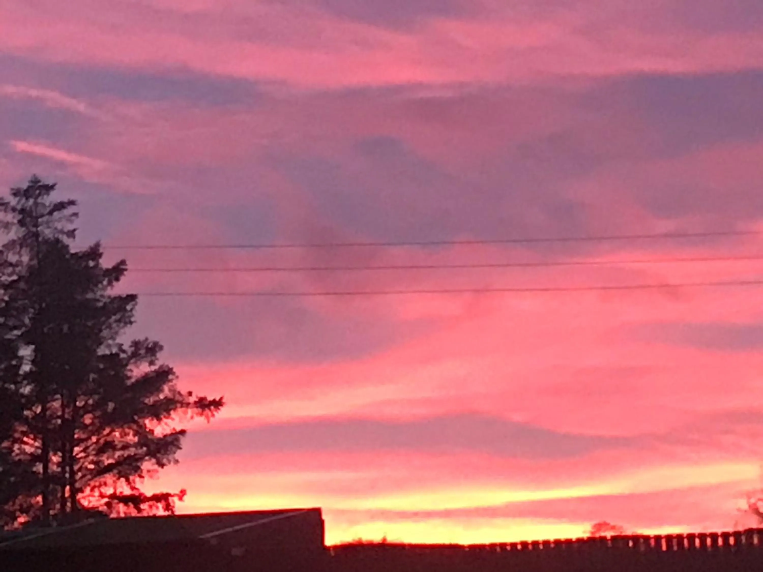 Natural landscape in Rokeby Inn