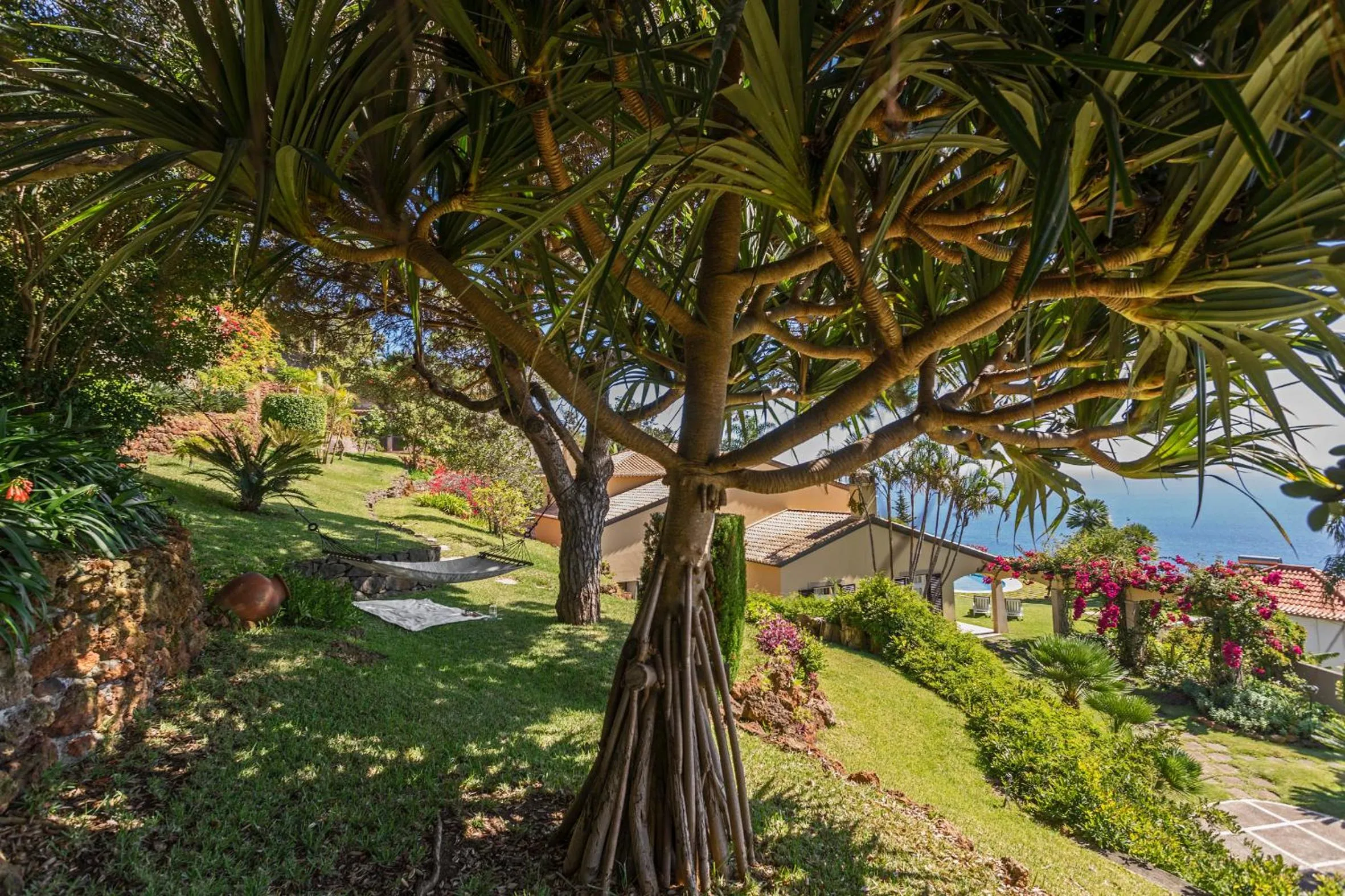 Garden in Vila Eucalipto by An Island Apart