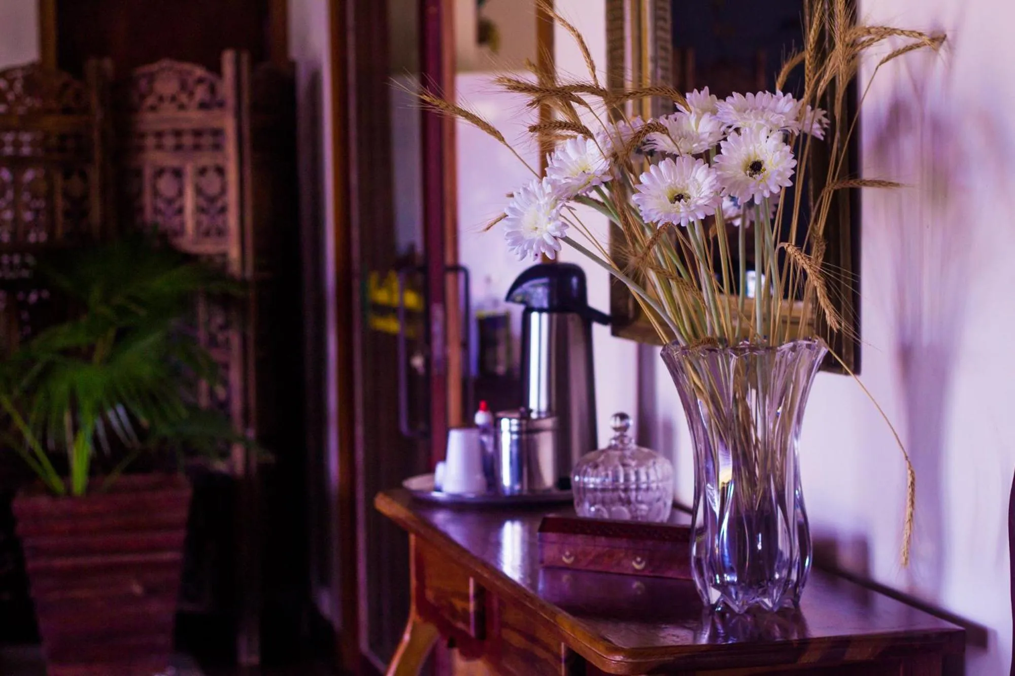 Lobby or reception in Pousada Chamamé