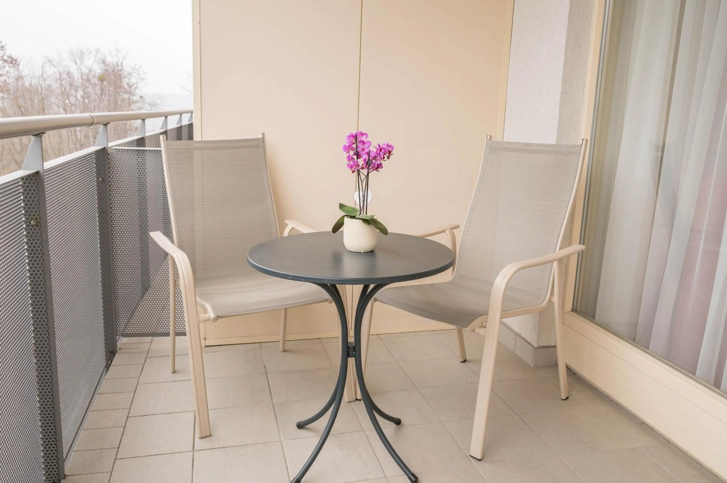 Balcony/Terrace in Allegria Resort Stegersbach - Allegria Hotel