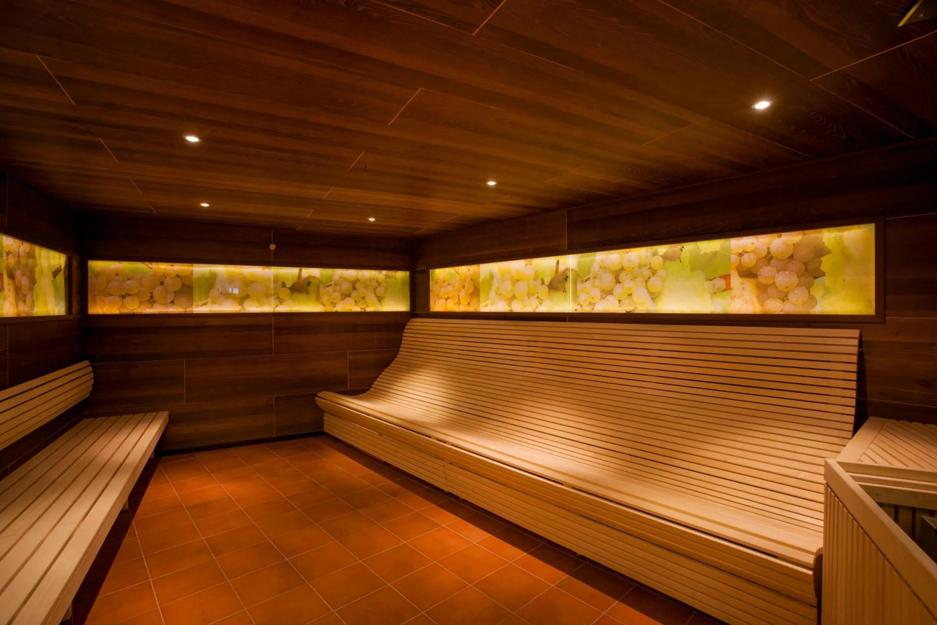 Sauna in Allegria Resort Stegersbach - Allegria Hotel