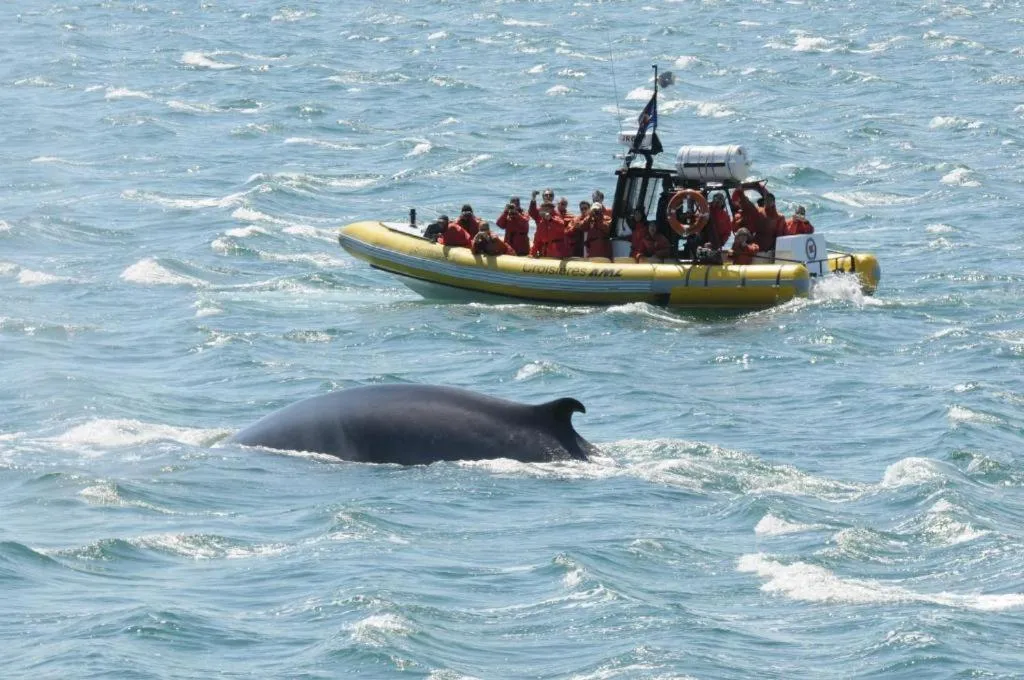Motel de l'Anse a l'Eau
