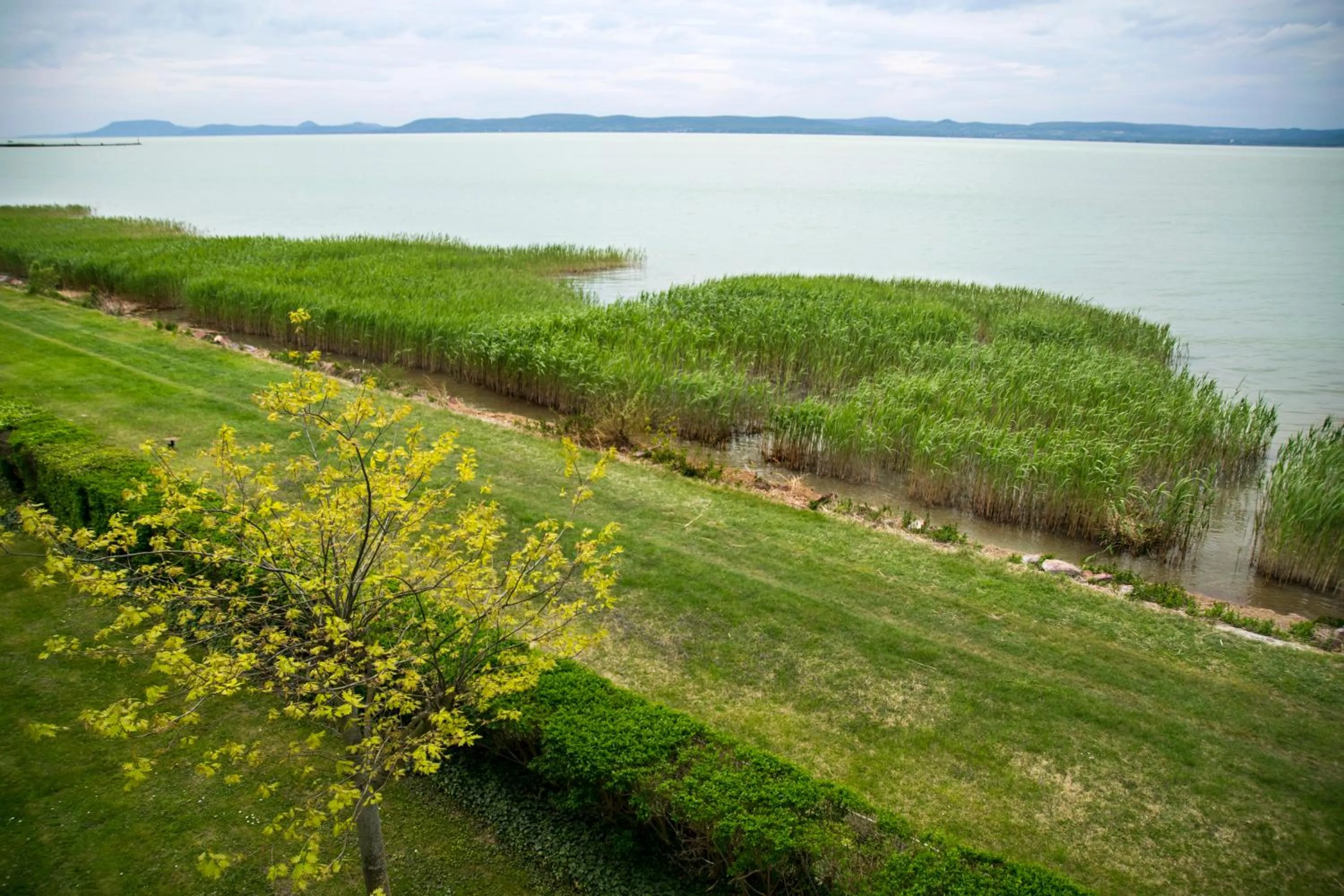 Spring in Hotel OTP Balatonszemes