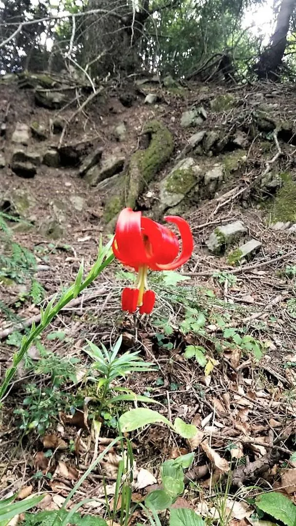 Hiking in Palio Litochoro The Countryside Lodge
