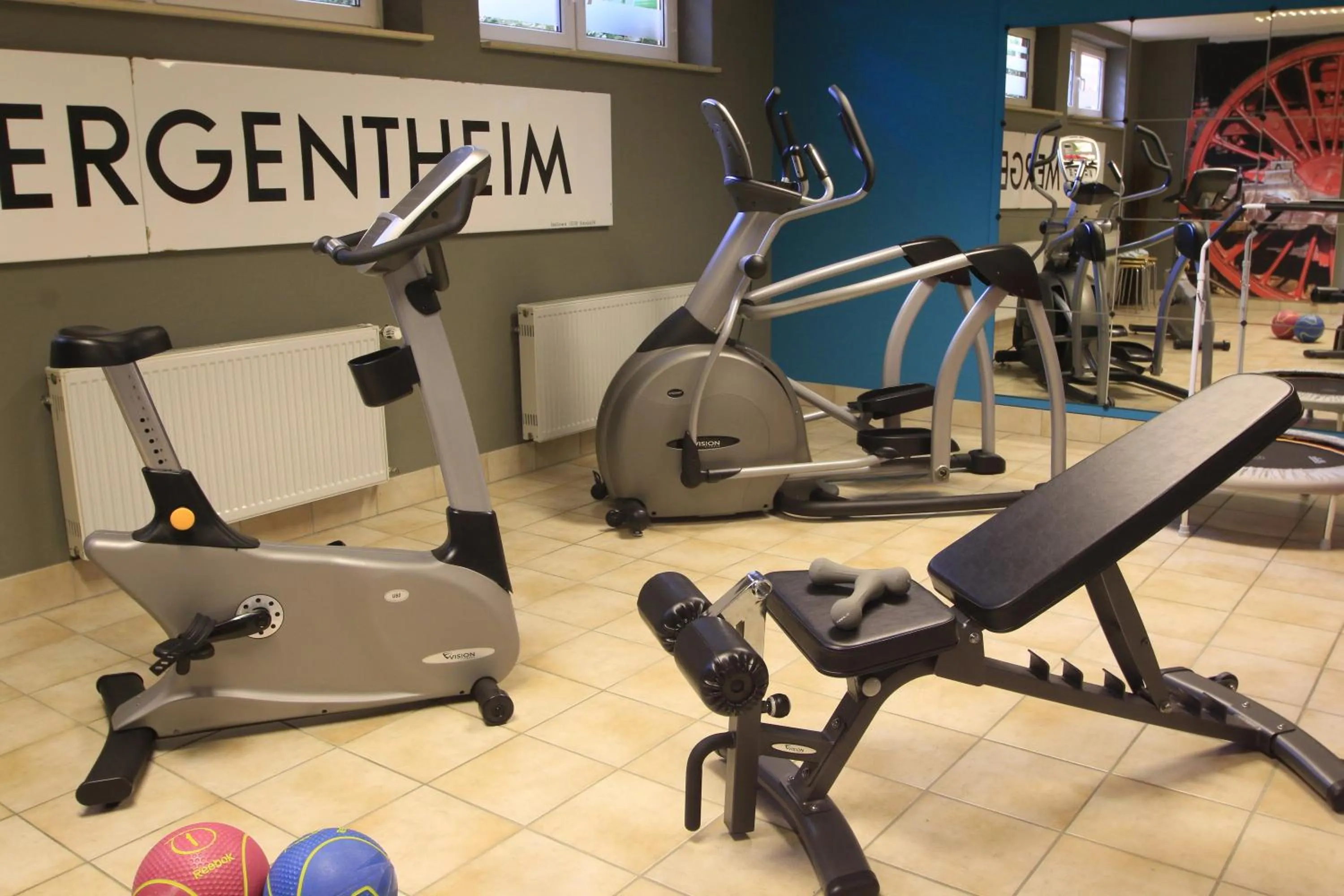 Fitness centre/facilities in Hotel Alexa