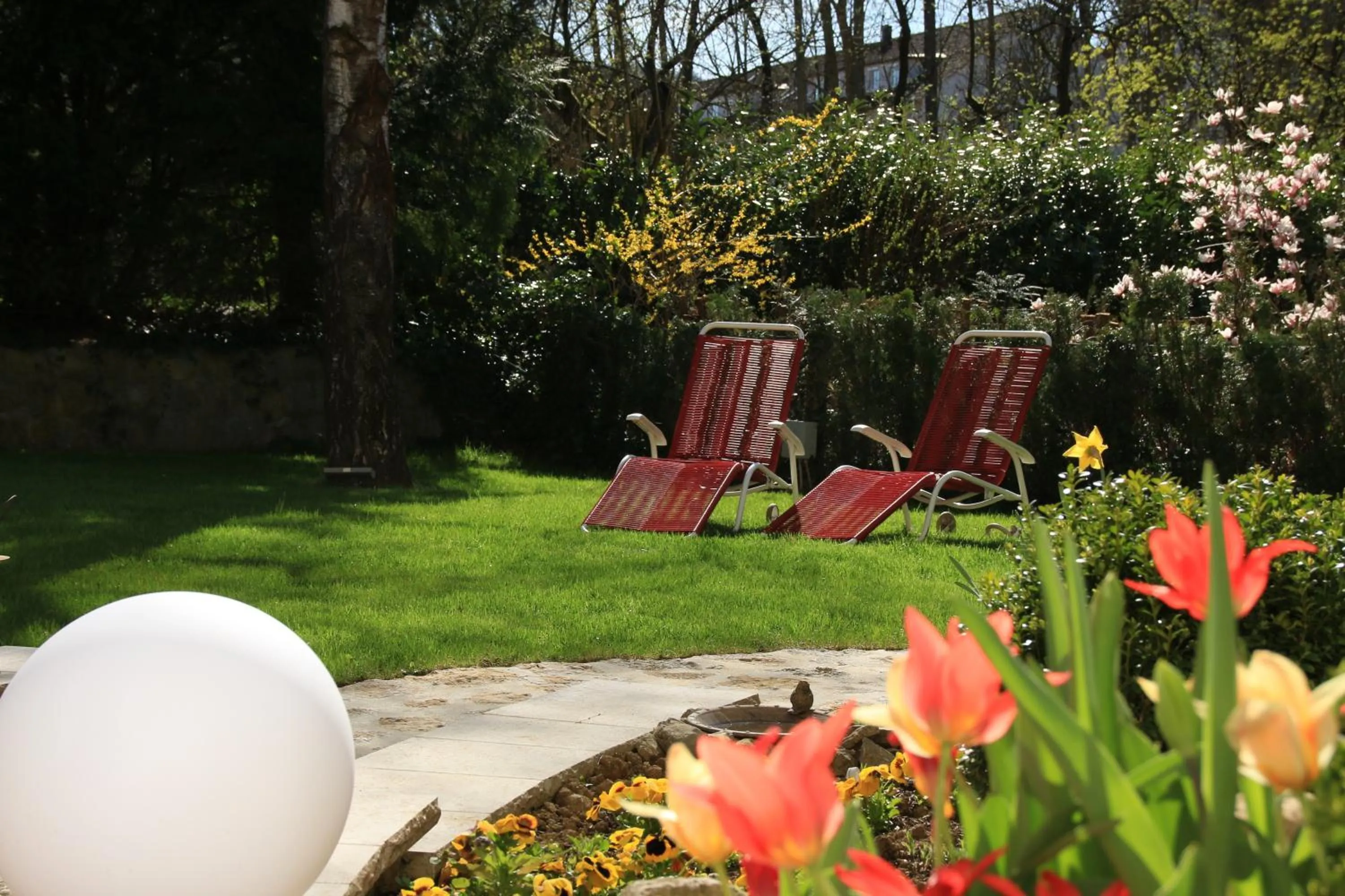 Garden in Hotel Alexa