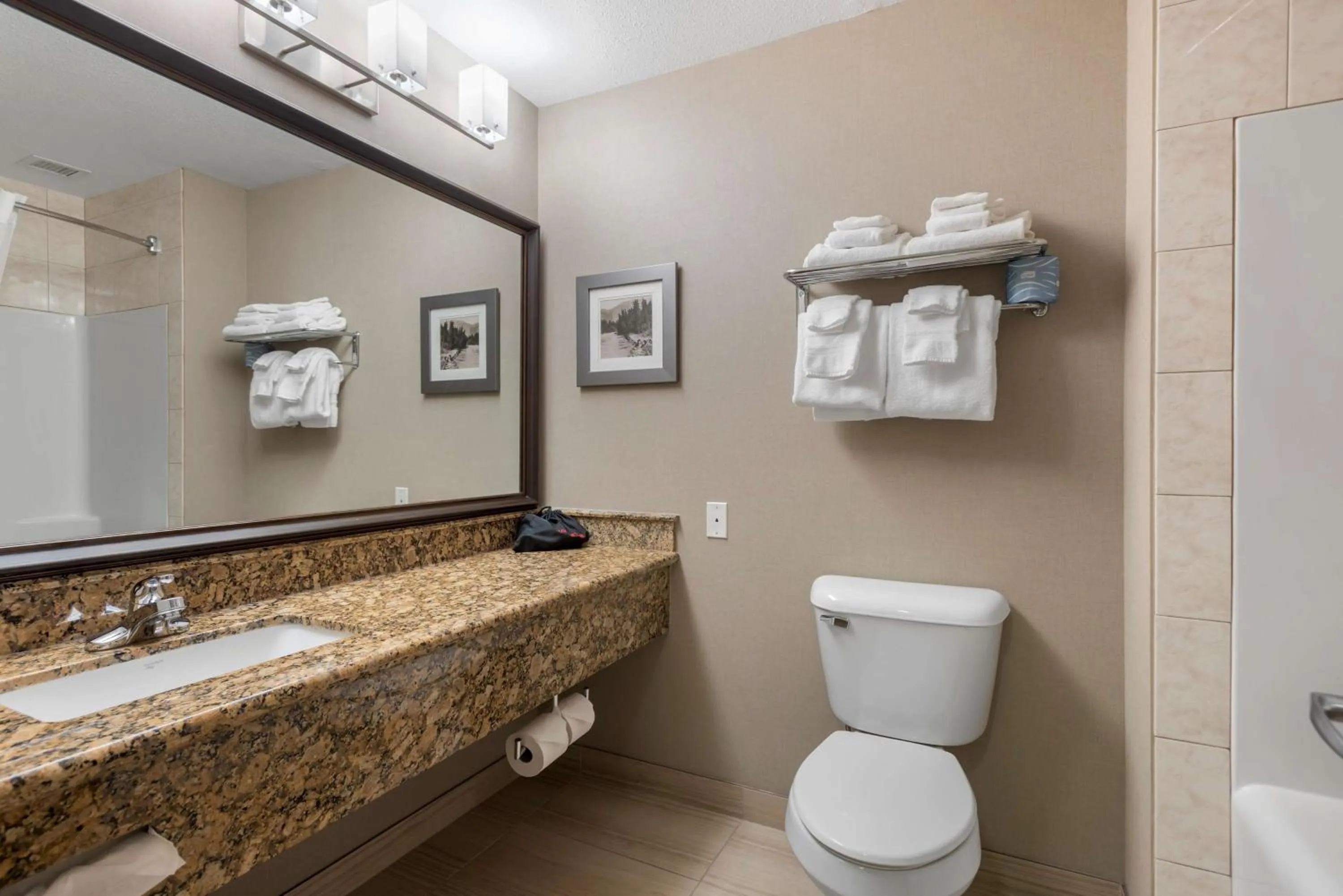 Bathroom in Best Western Plus Fernie Mountain Lodge