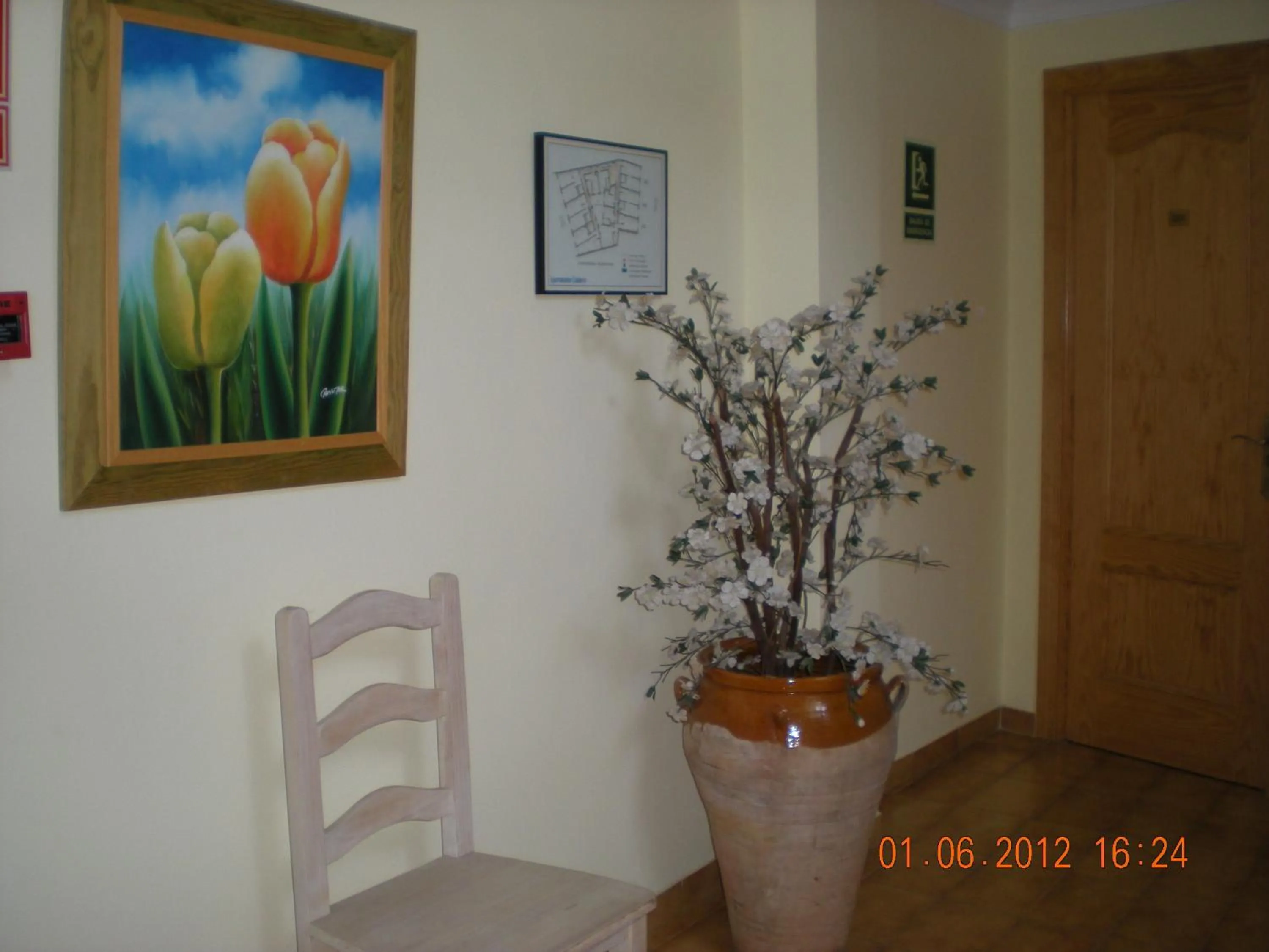 Decorative detail in Apartamentos Casanova