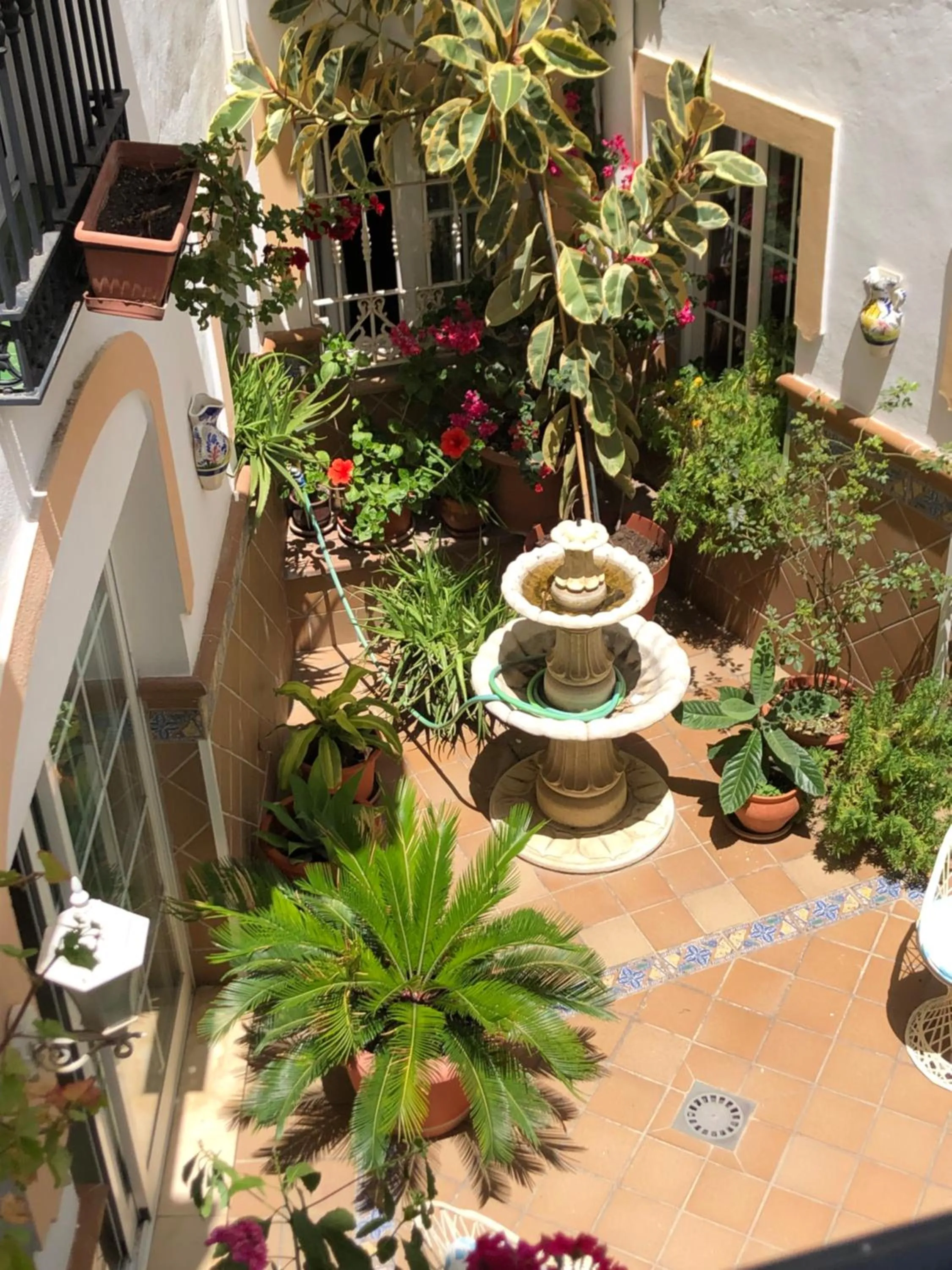 Apartamentos Casanova