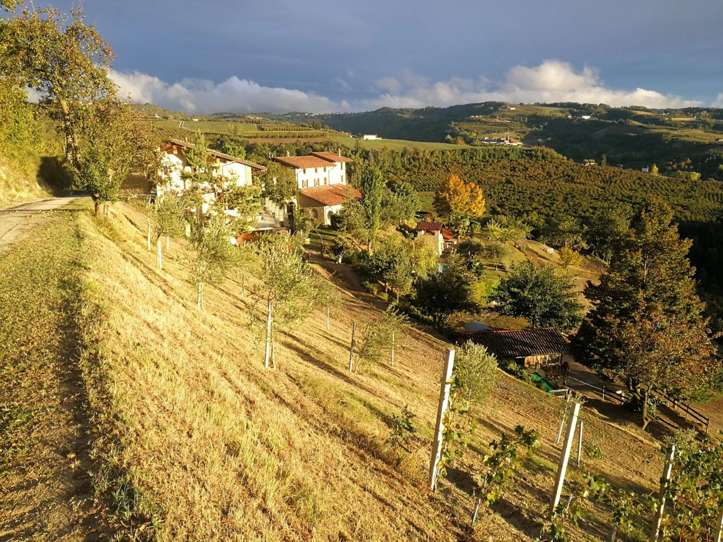 Agriturismo Sondrea