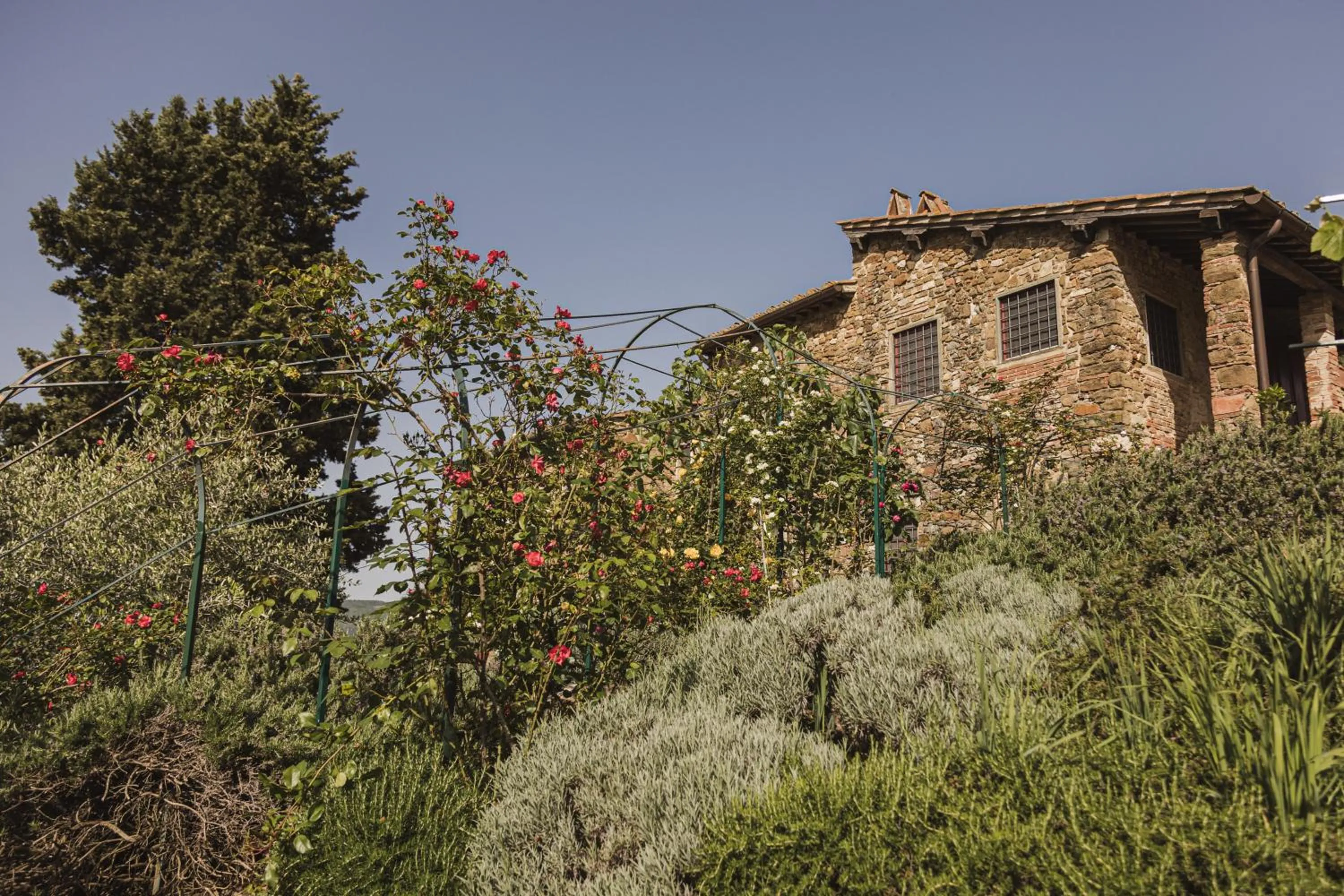 Garden in La Veronica Exclusive Chianti Resort