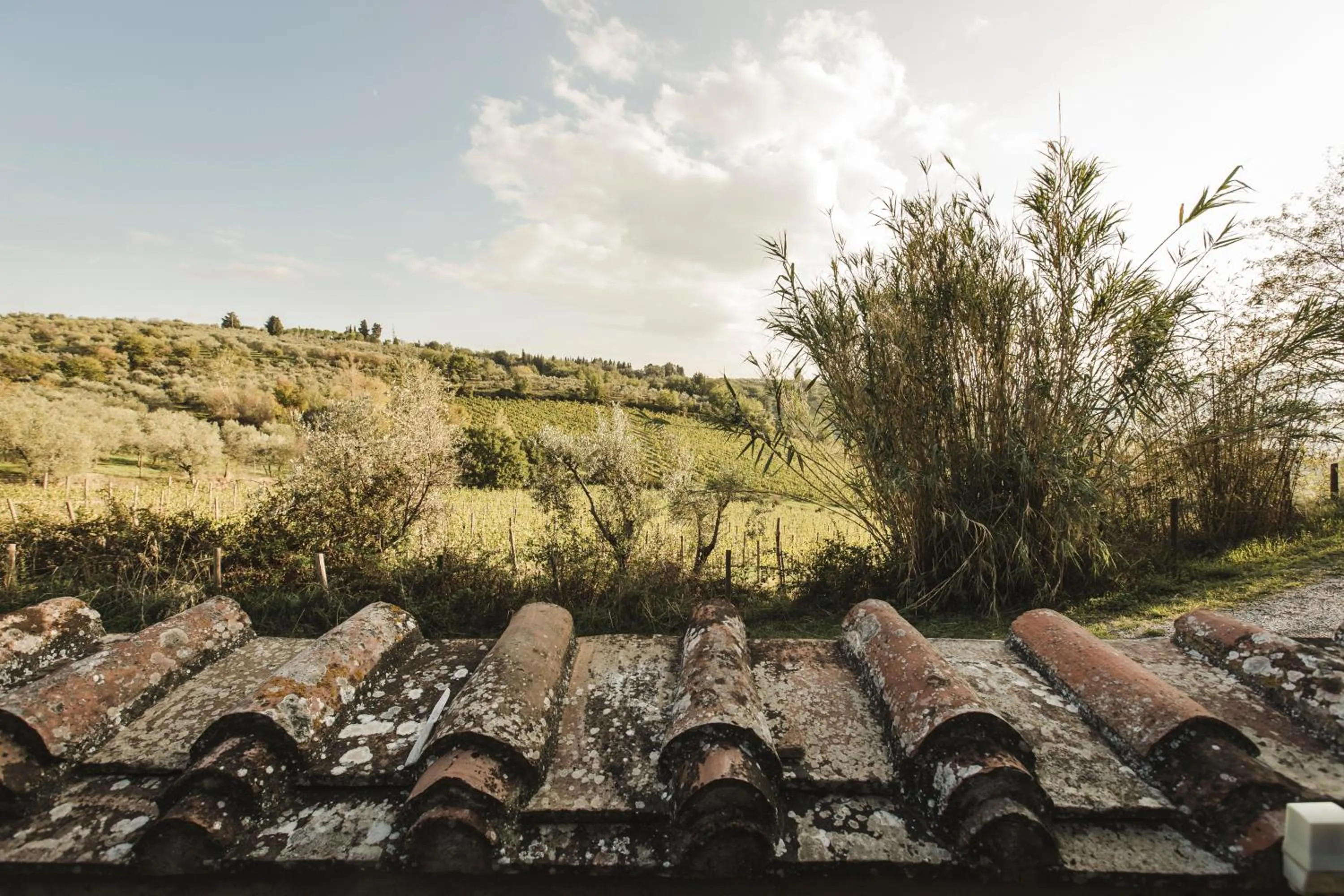 Natural landscape in La Veronica Exclusive Chianti Resort