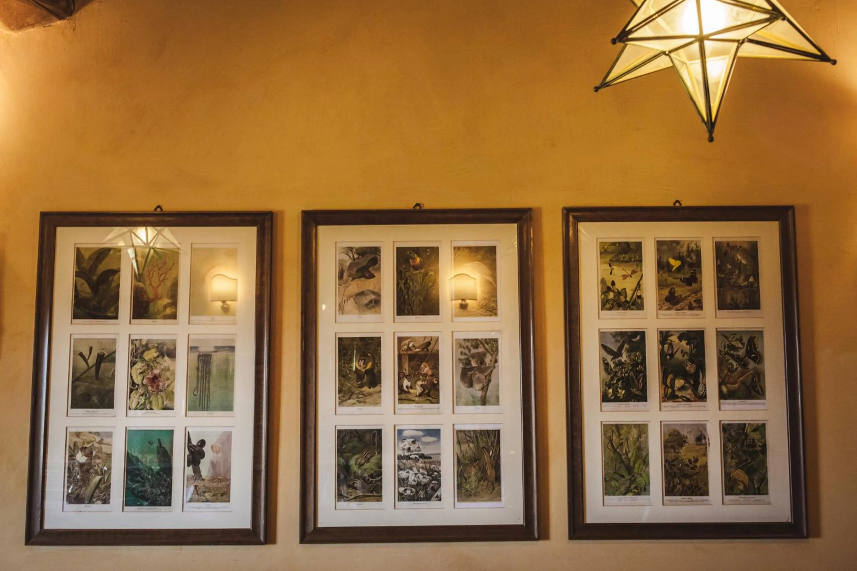 Decorative detail in La Veronica Exclusive Chianti Resort