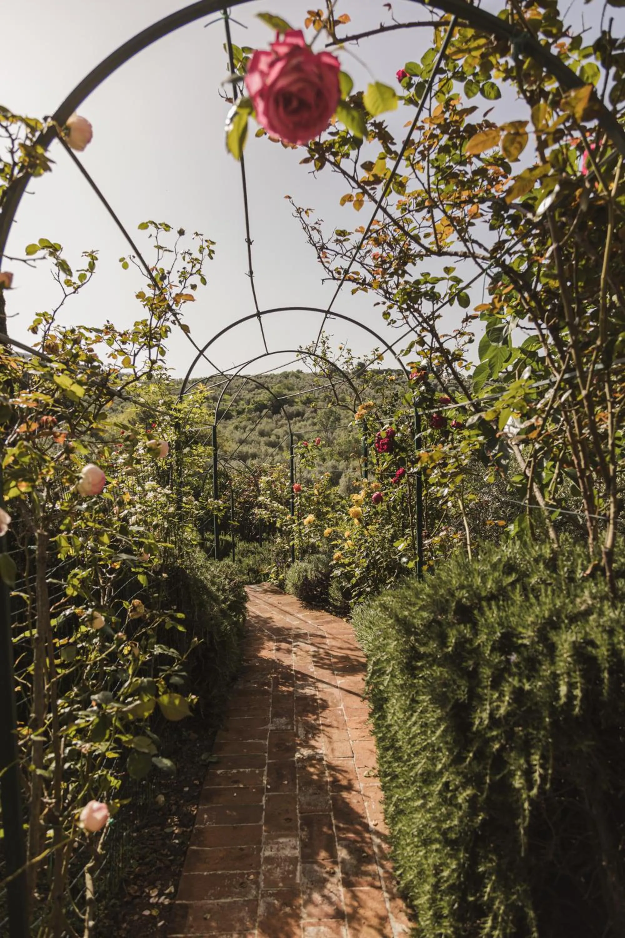 Garden in La Veronica Exclusive Chianti Resort