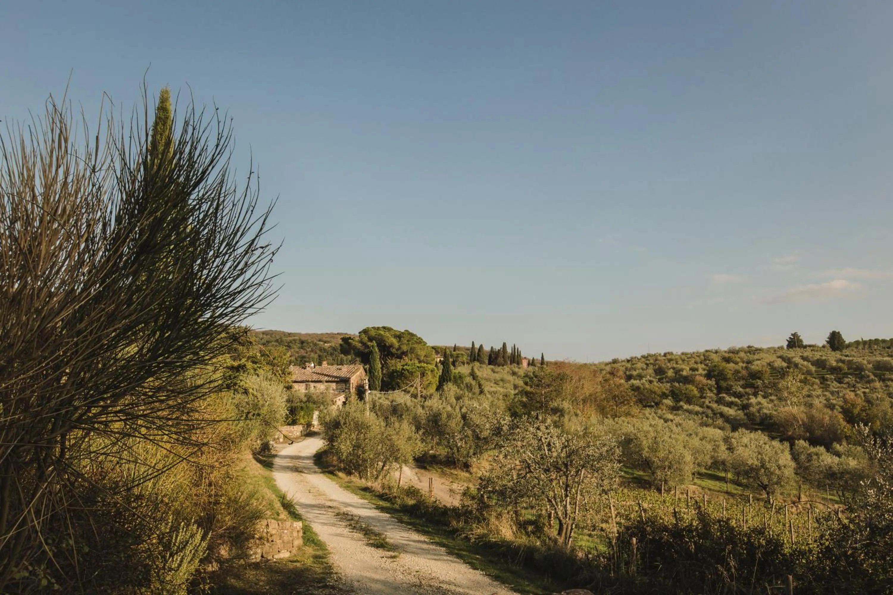 Natural landscape in La Veronica Exclusive Chianti Resort