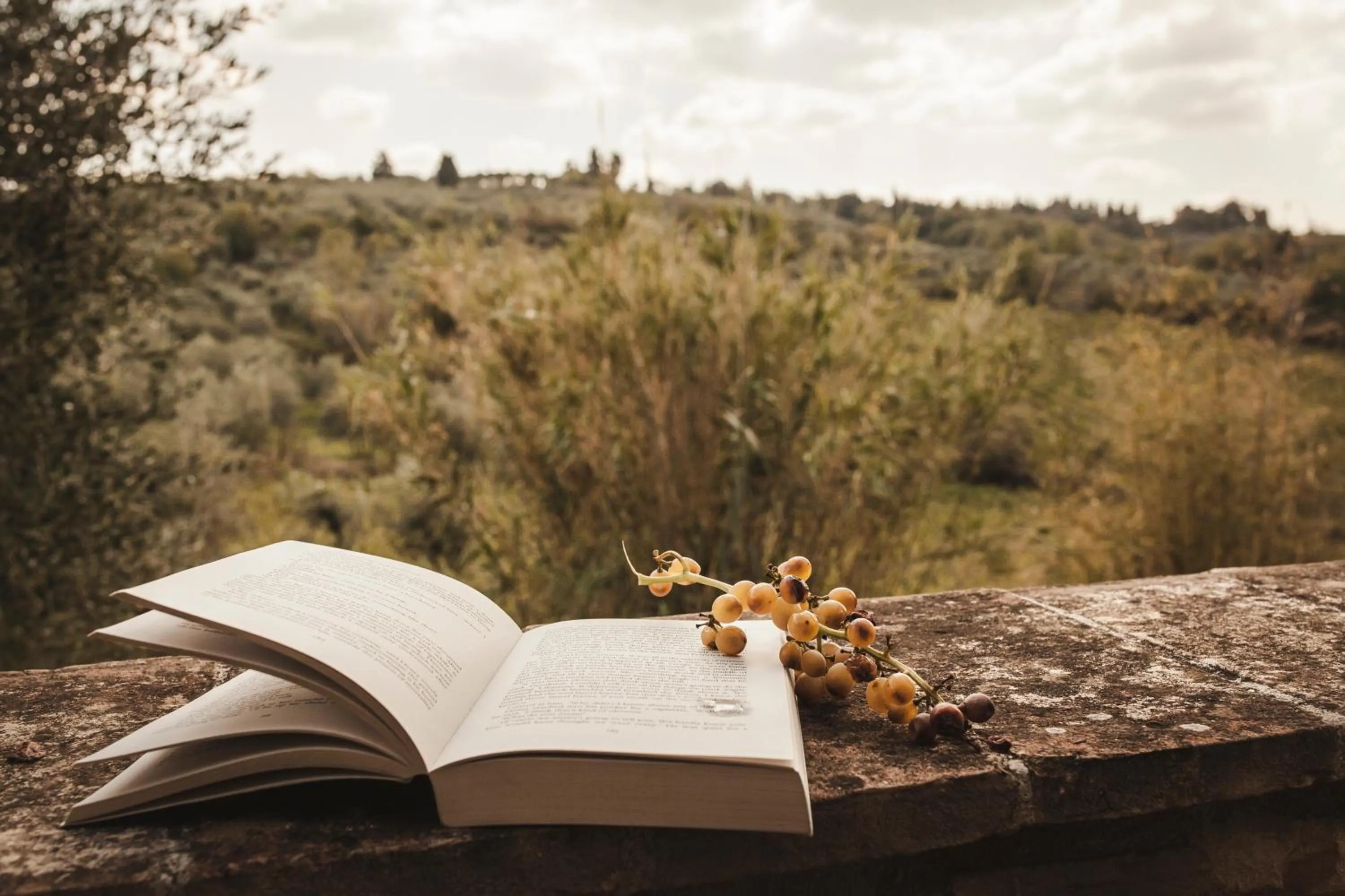 Decorative detail in La Veronica Exclusive Chianti Resort