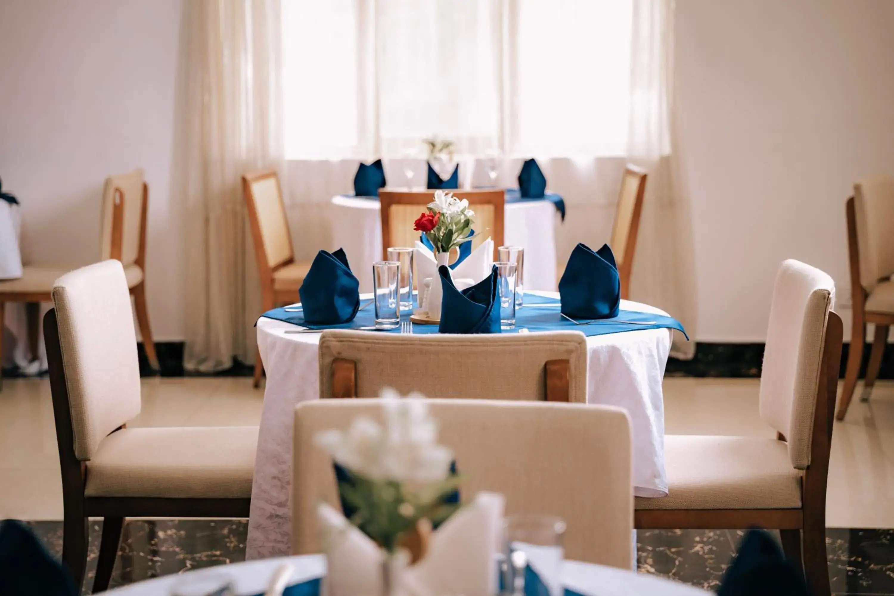 Restaurant/places to eat in Tolip Olympia Hotel Restaurant/places to eat in Tolip Olympia Hotel