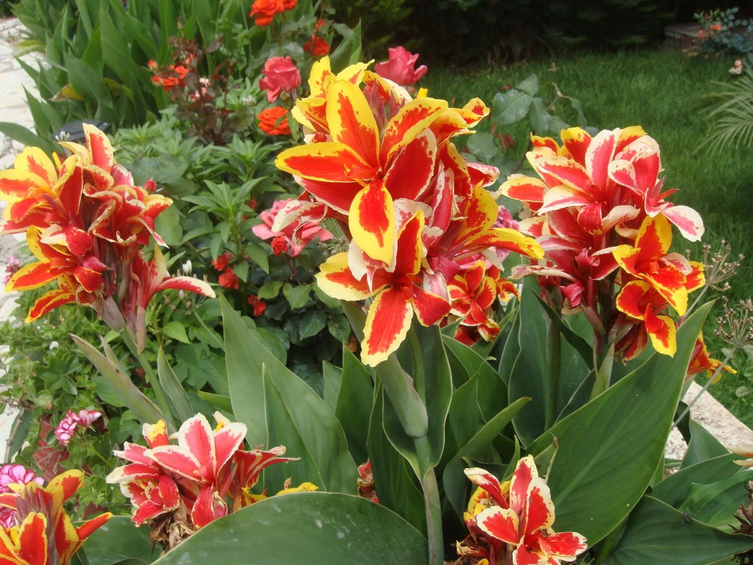 Garden in PHILIPPOS Hotel Apartments