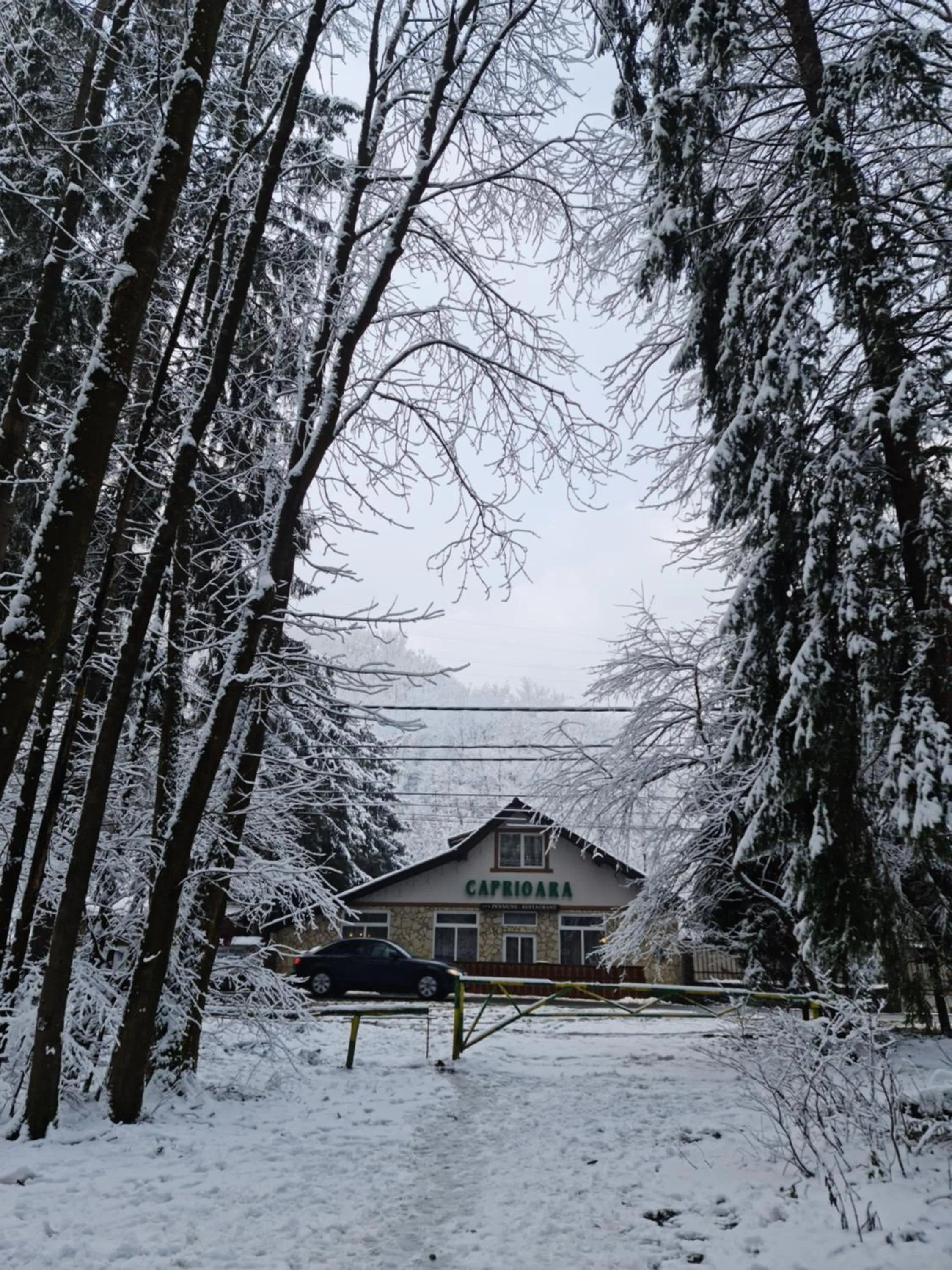 Complex Turistic Caprioara