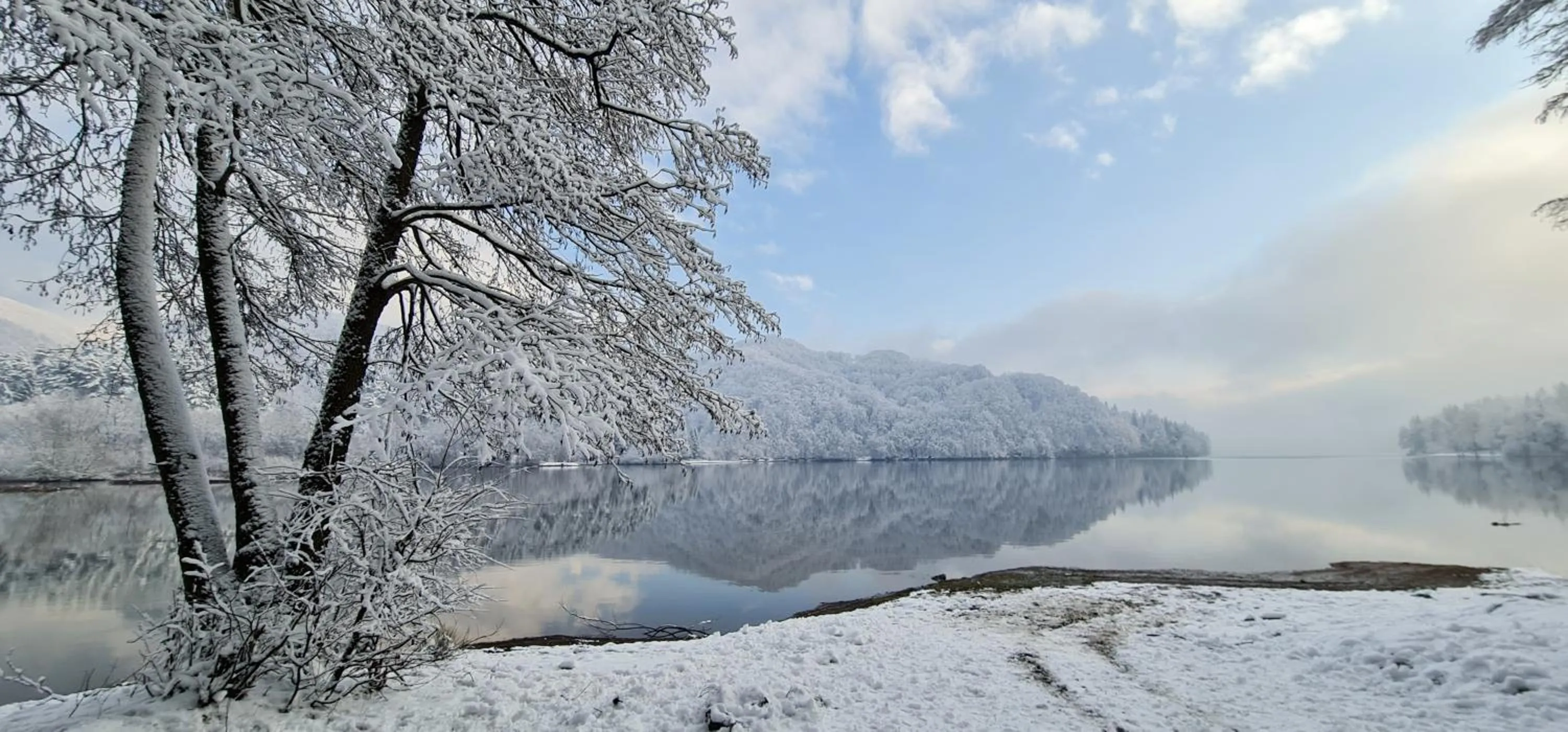 Complex Turistic Caprioara