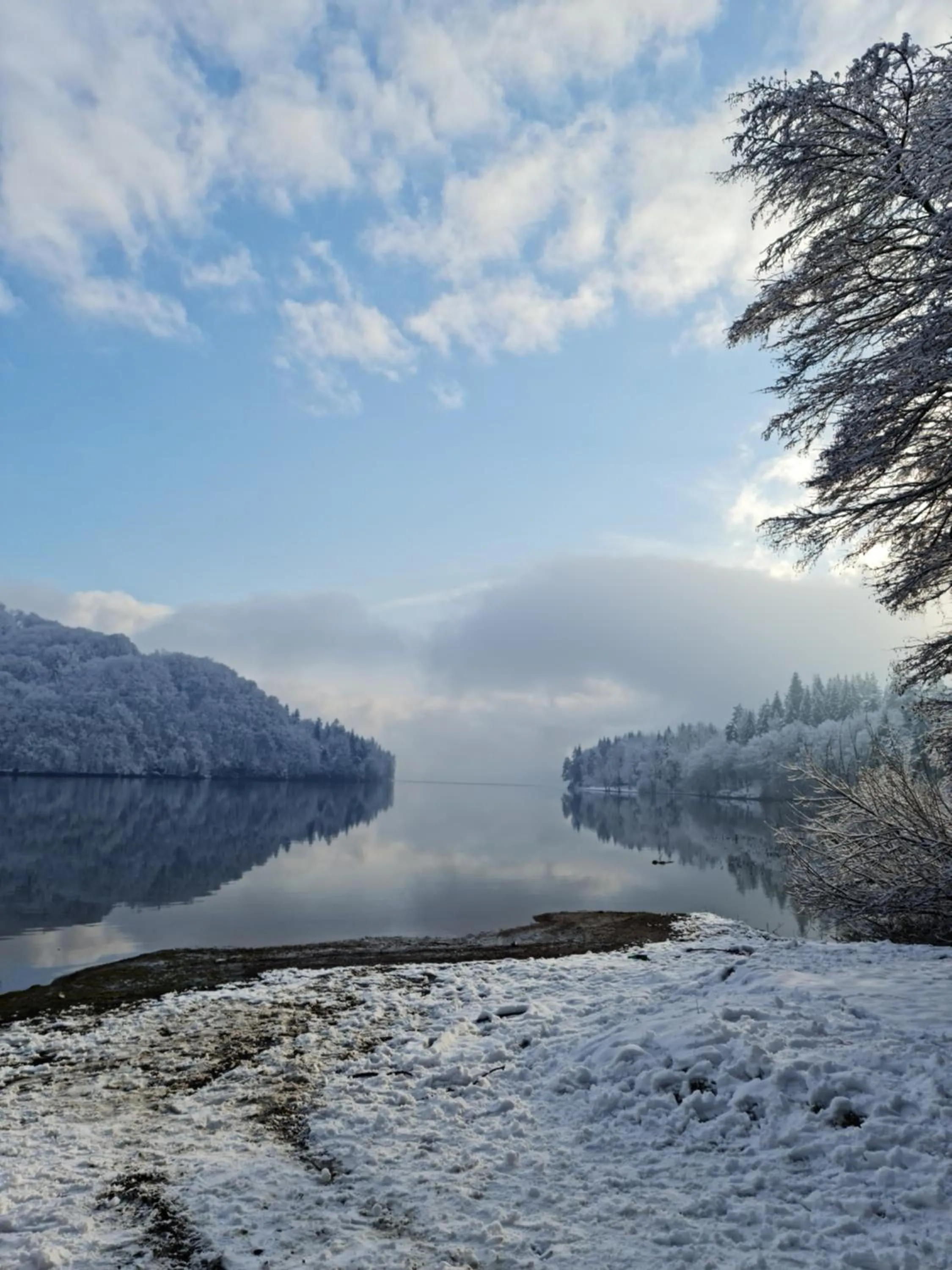 Complex Turistic Caprioara