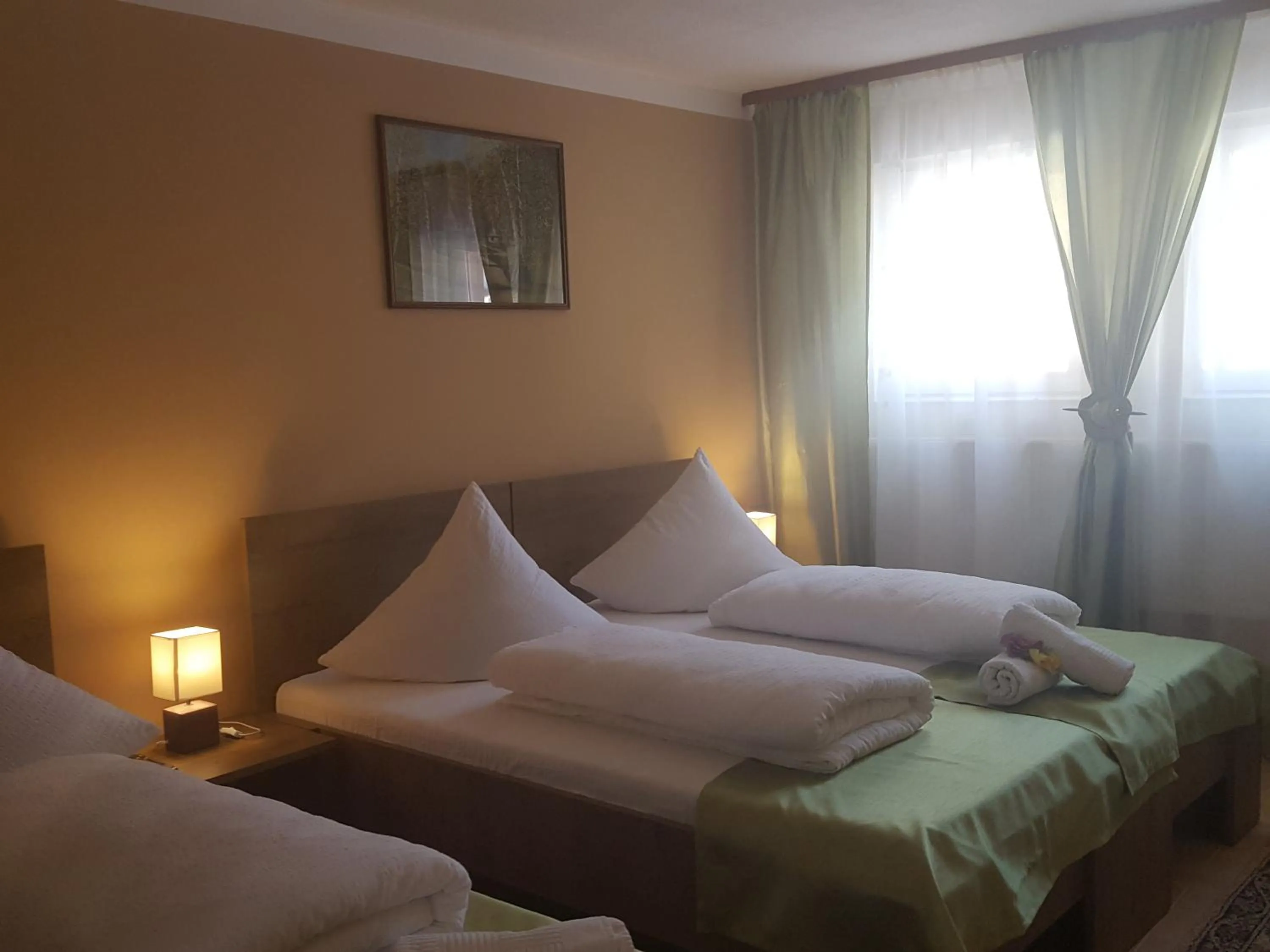 Photo of the whole room, Bed in Complex Turistic Caprioara
