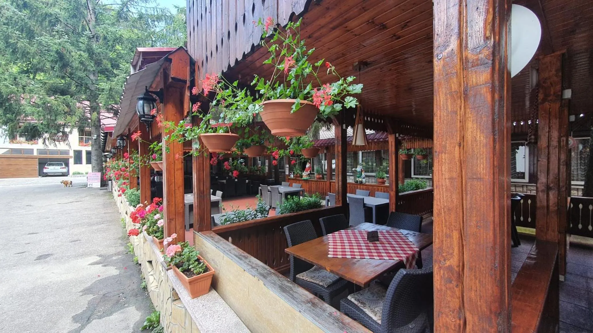 Complex Turistic Caprioara