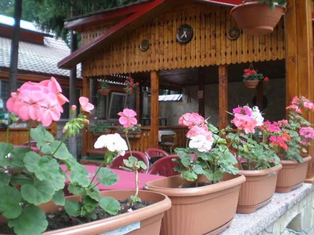 Balcony/Terrace in Complex Turistic Caprioara