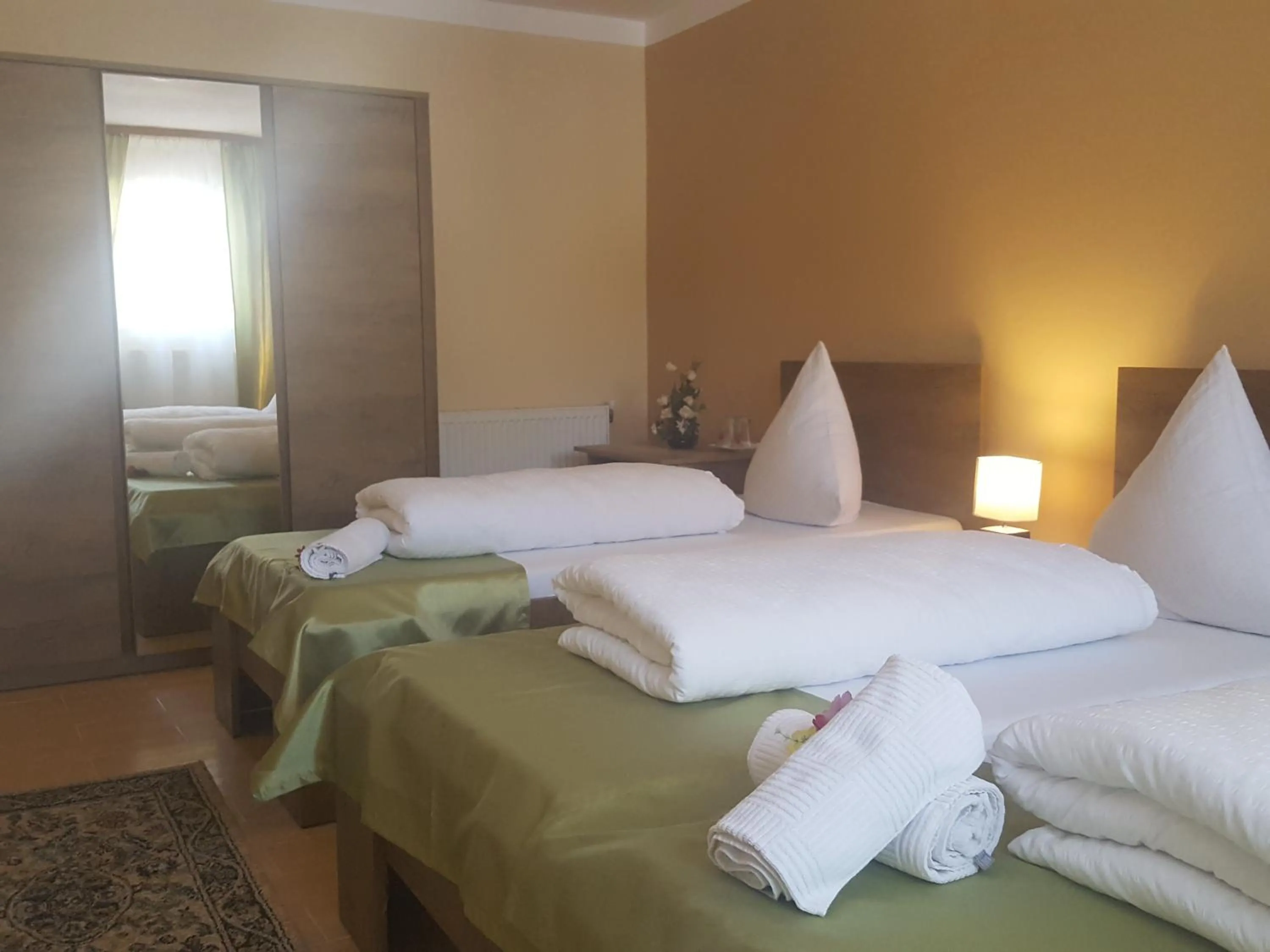 Photo of the whole room, Bed in Complex Turistic Caprioara