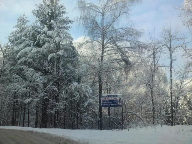Natural landscape in Complex Turistic Caprioara
