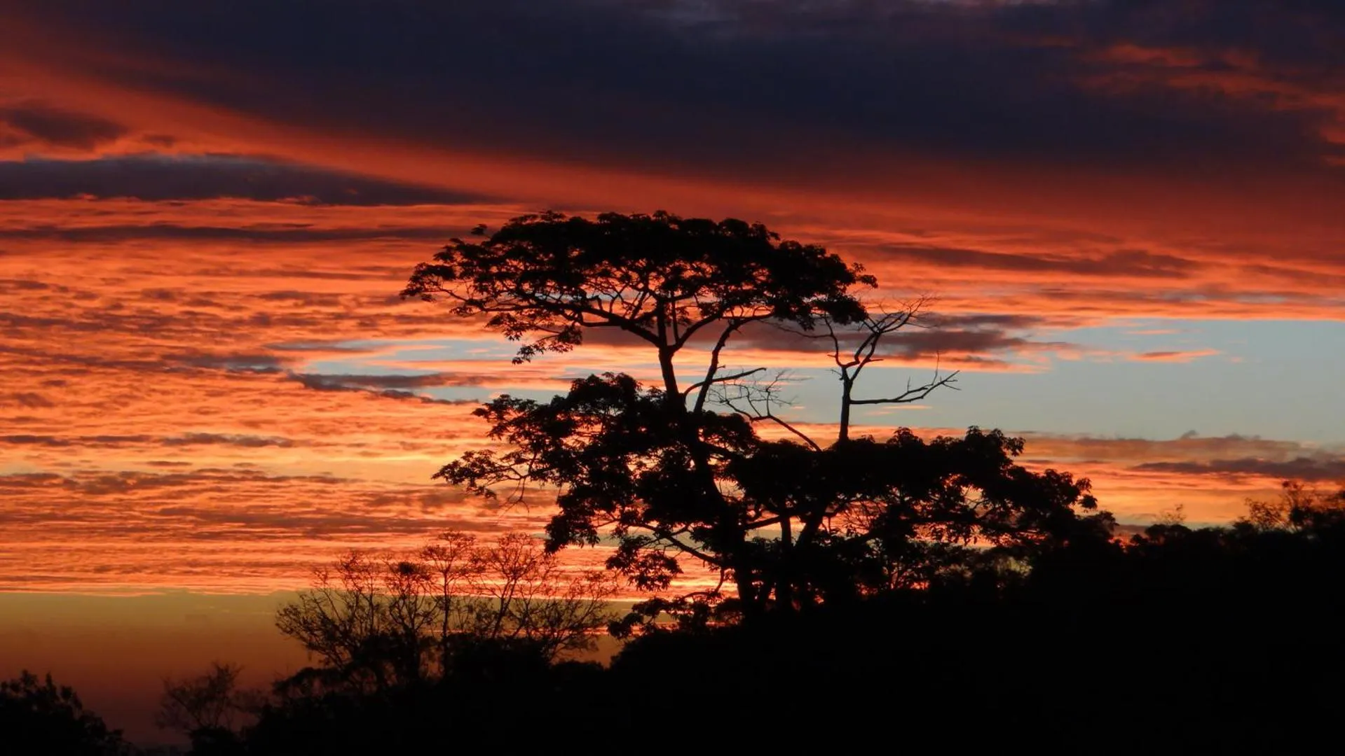 Natural landscape in Hotel Fazenda Itáytyba