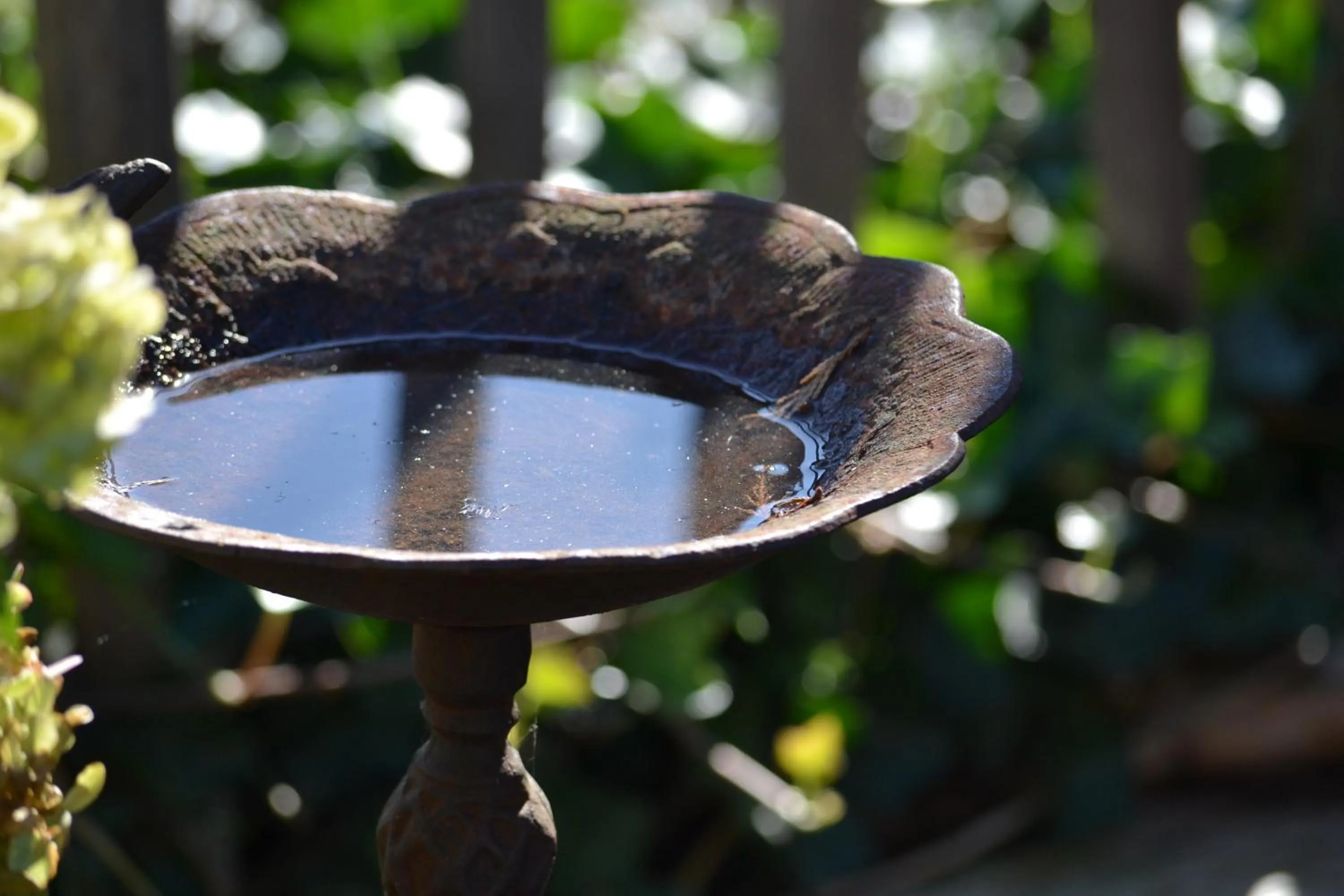 Garden in Boutique Hotel Butler