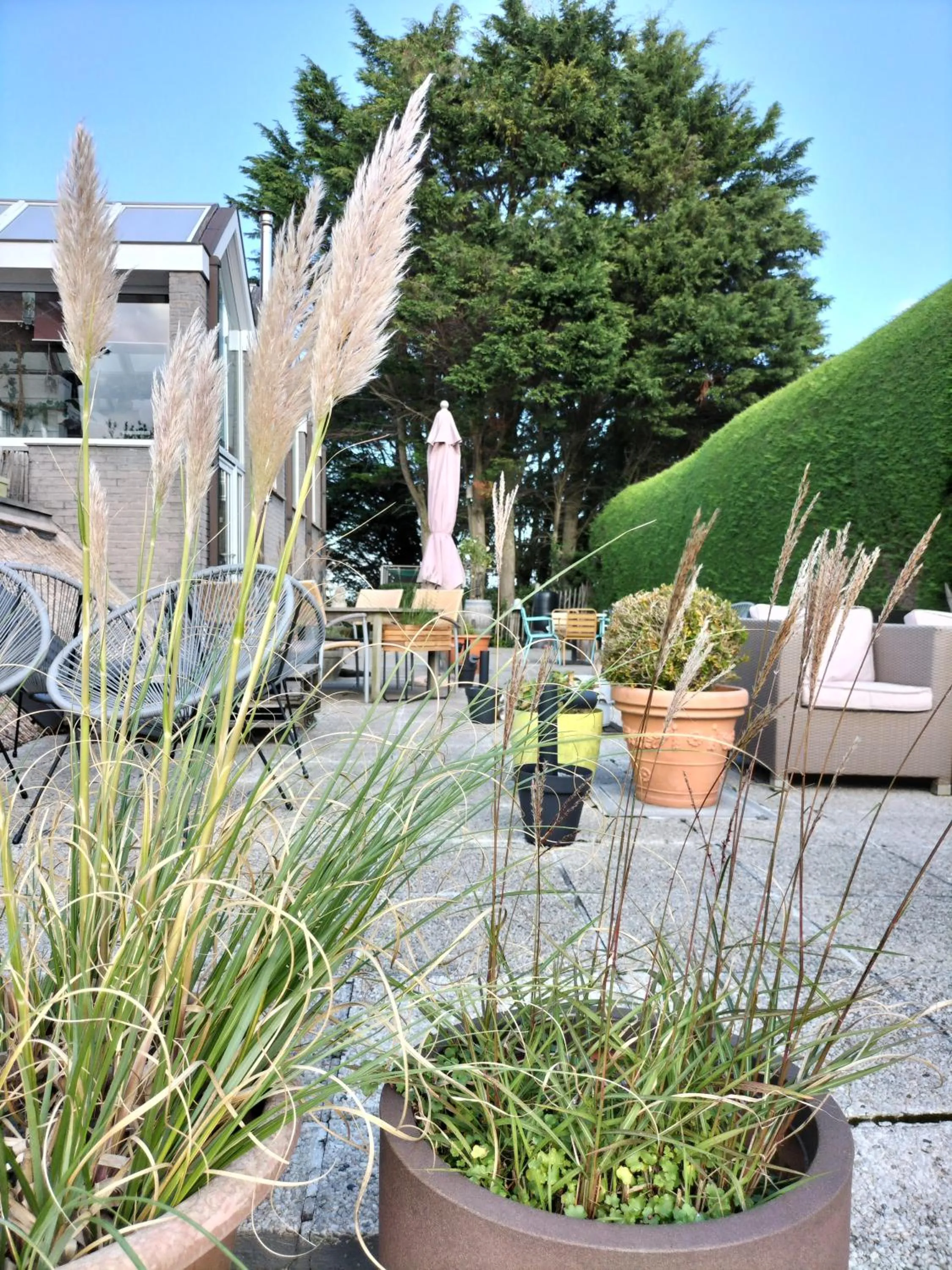 Balcony/Terrace in Boutique Hotel Butler
