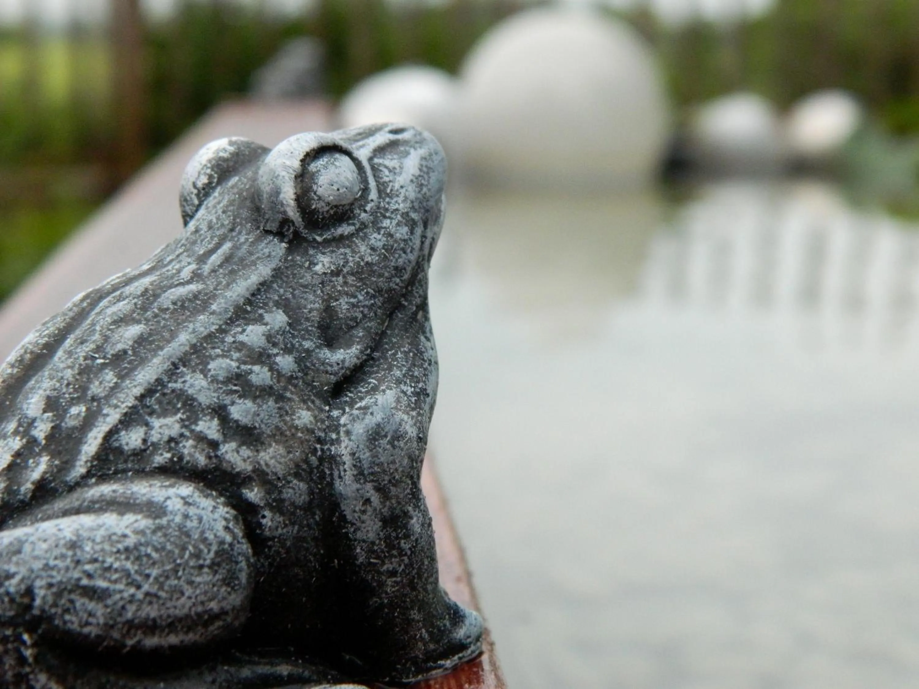 Garden in Boutique Hotel Butler