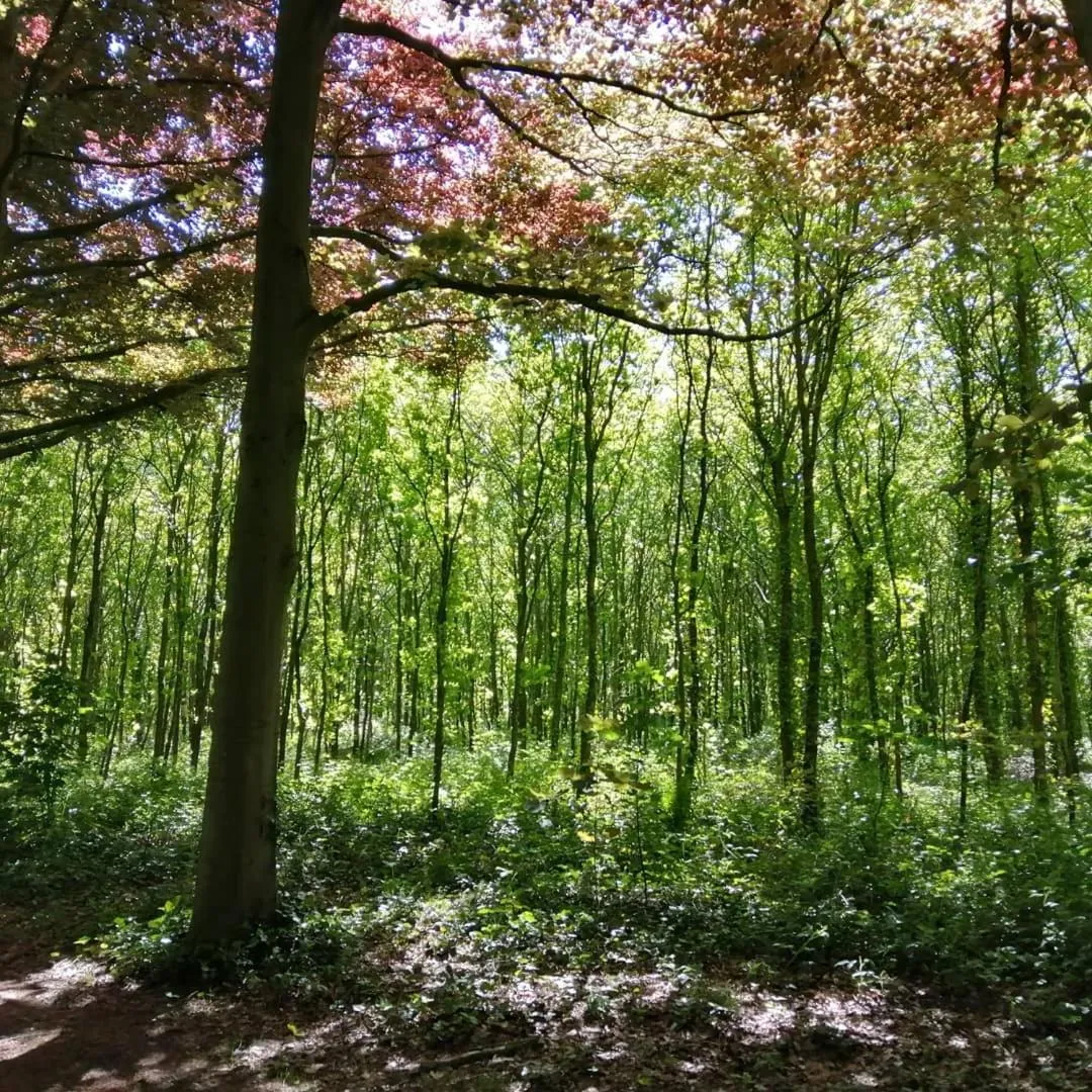 Area and facilities in Boutique Hotel Butler