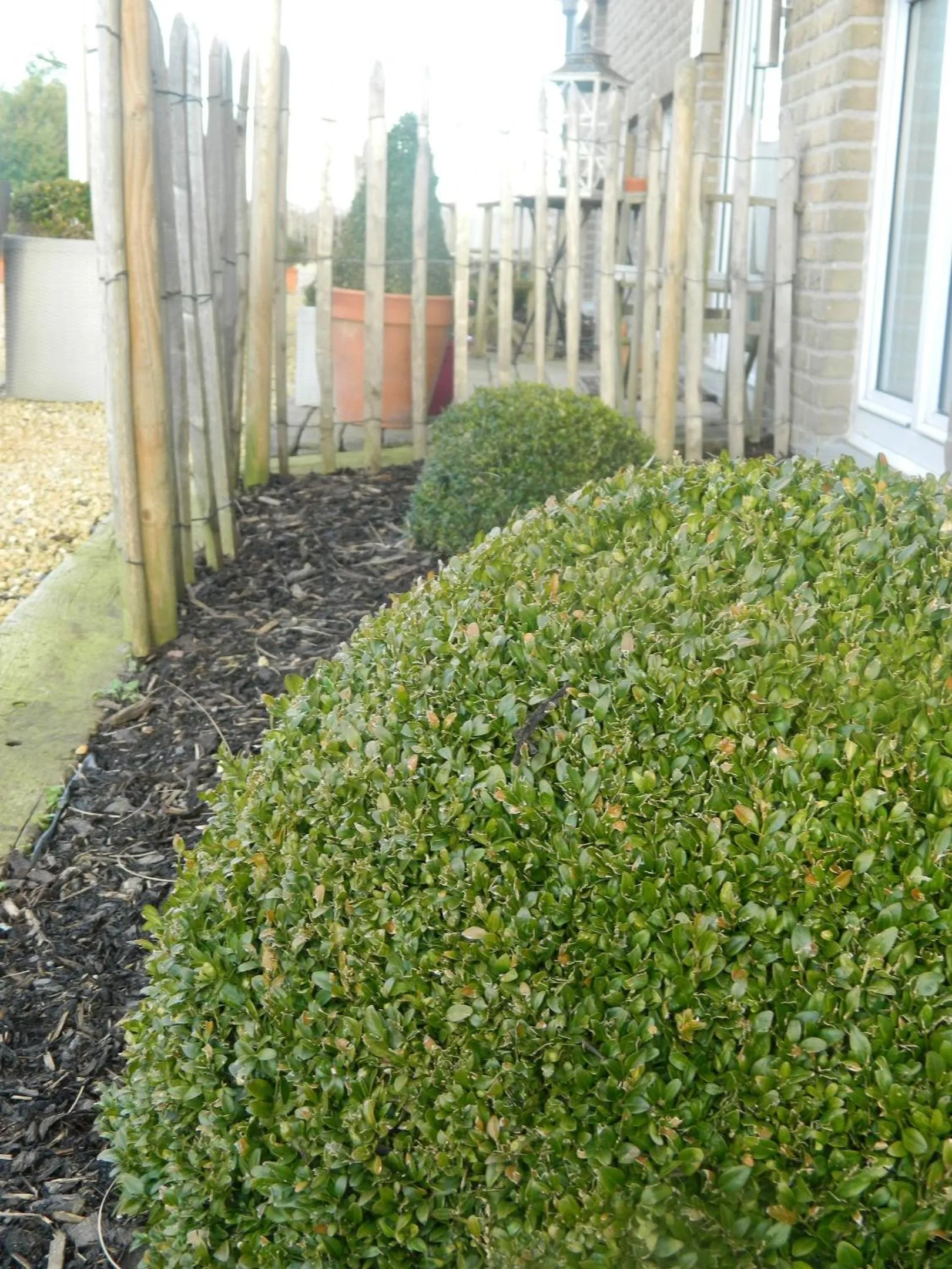 Facade/entrance in Boutique Hotel Butler