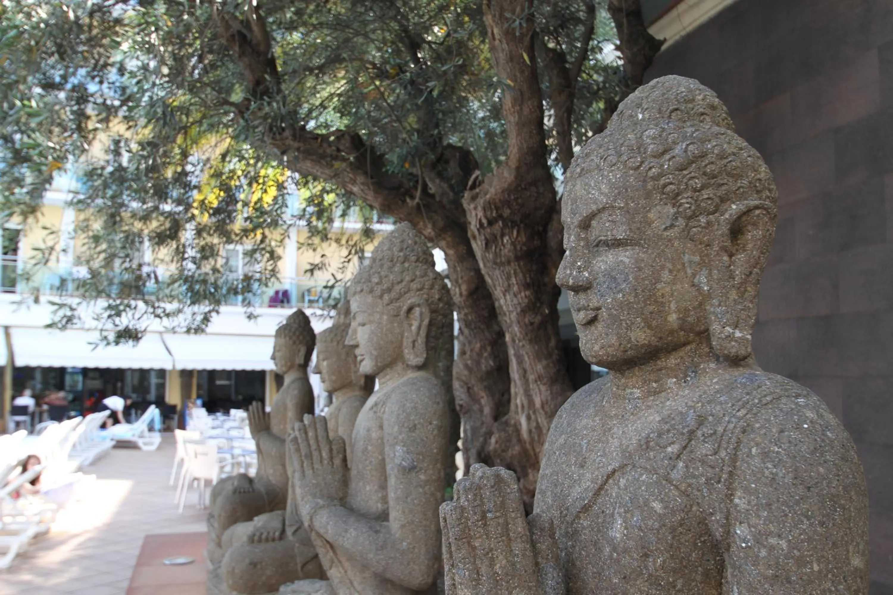 Decorative detail in Hotel la Palmera & Spa