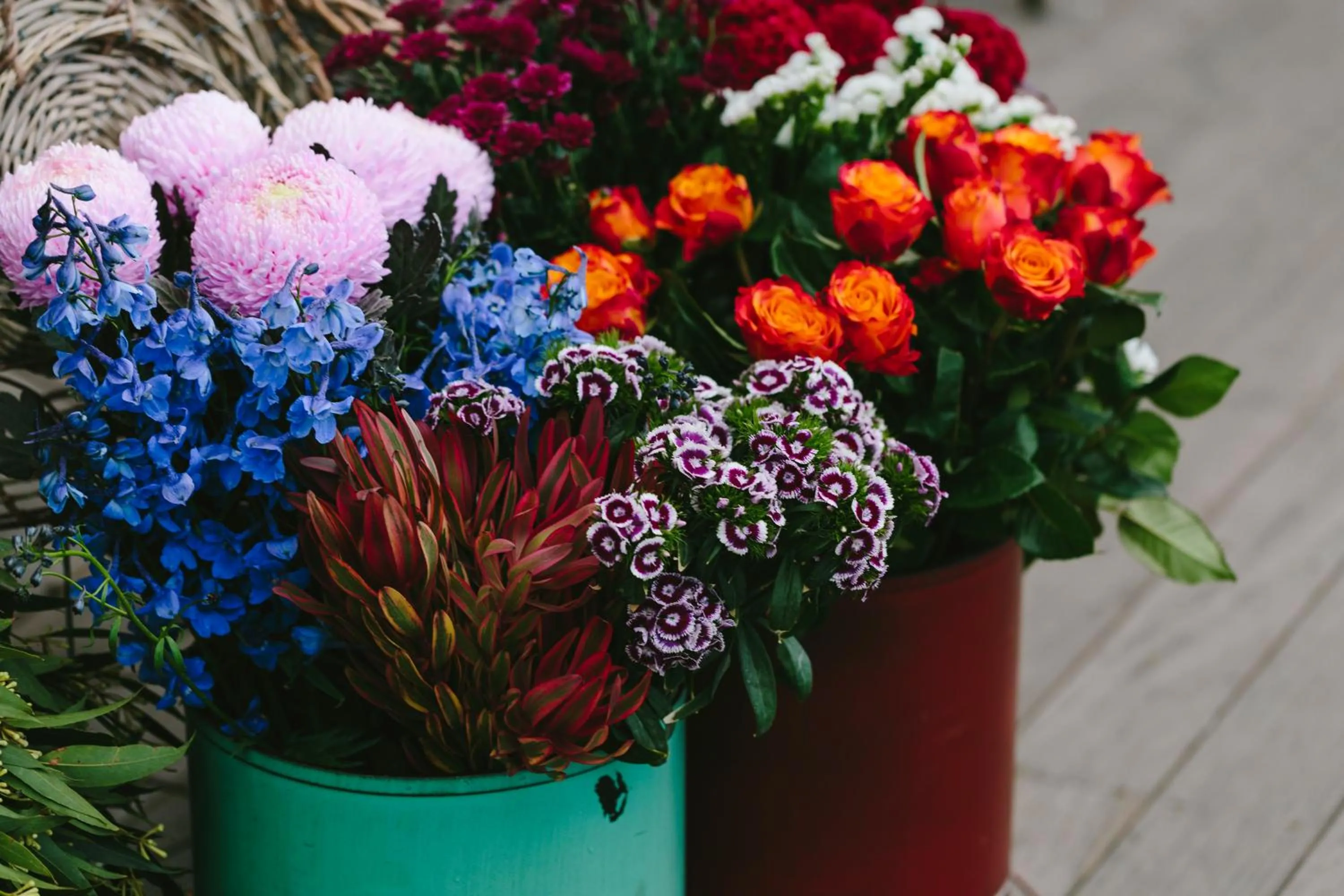 Spring in Angel Sussurri